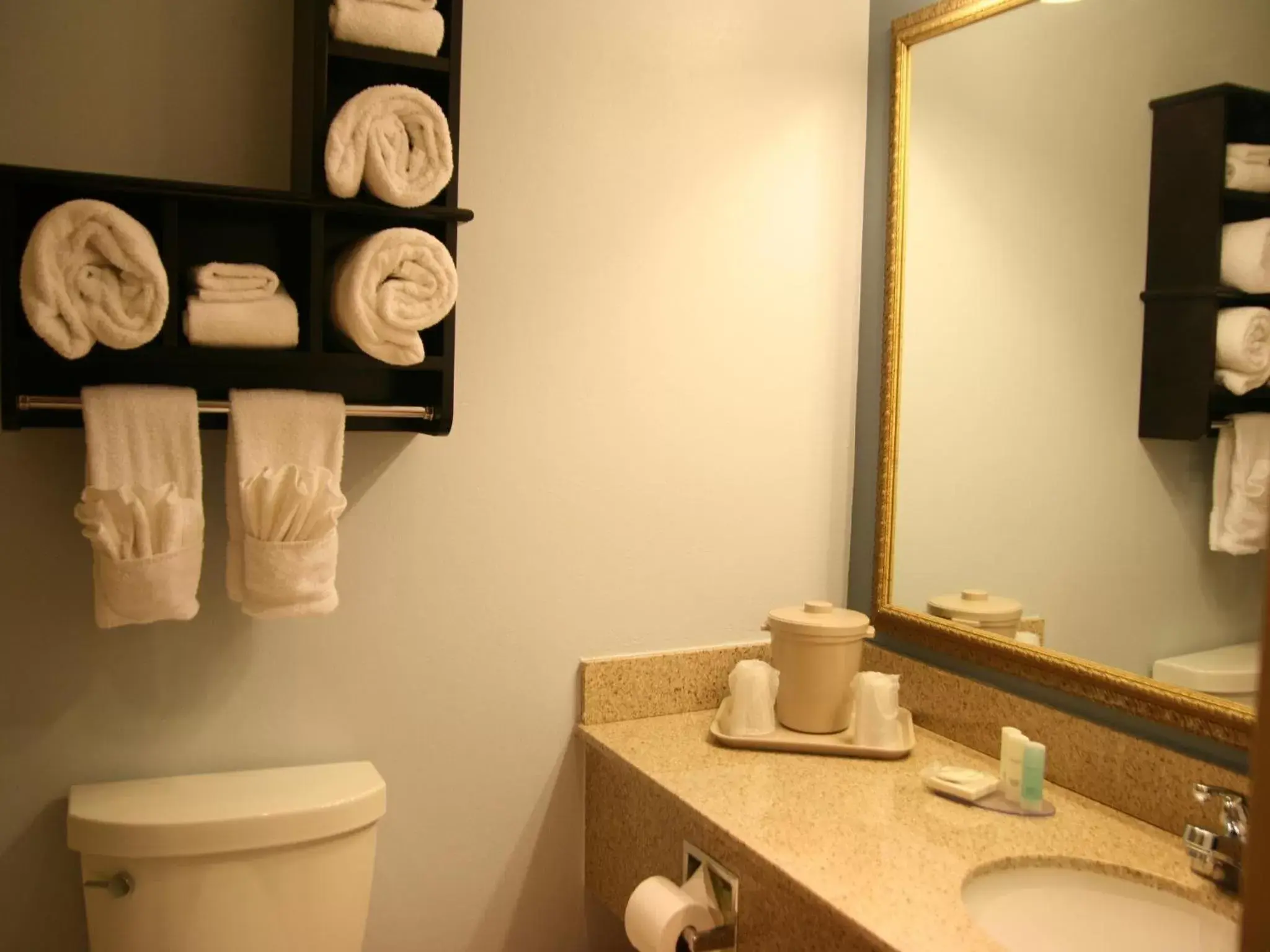 Queen Room - Non-Smoking/Pet Friendly in Clarion Hotel Seekonk - Providence