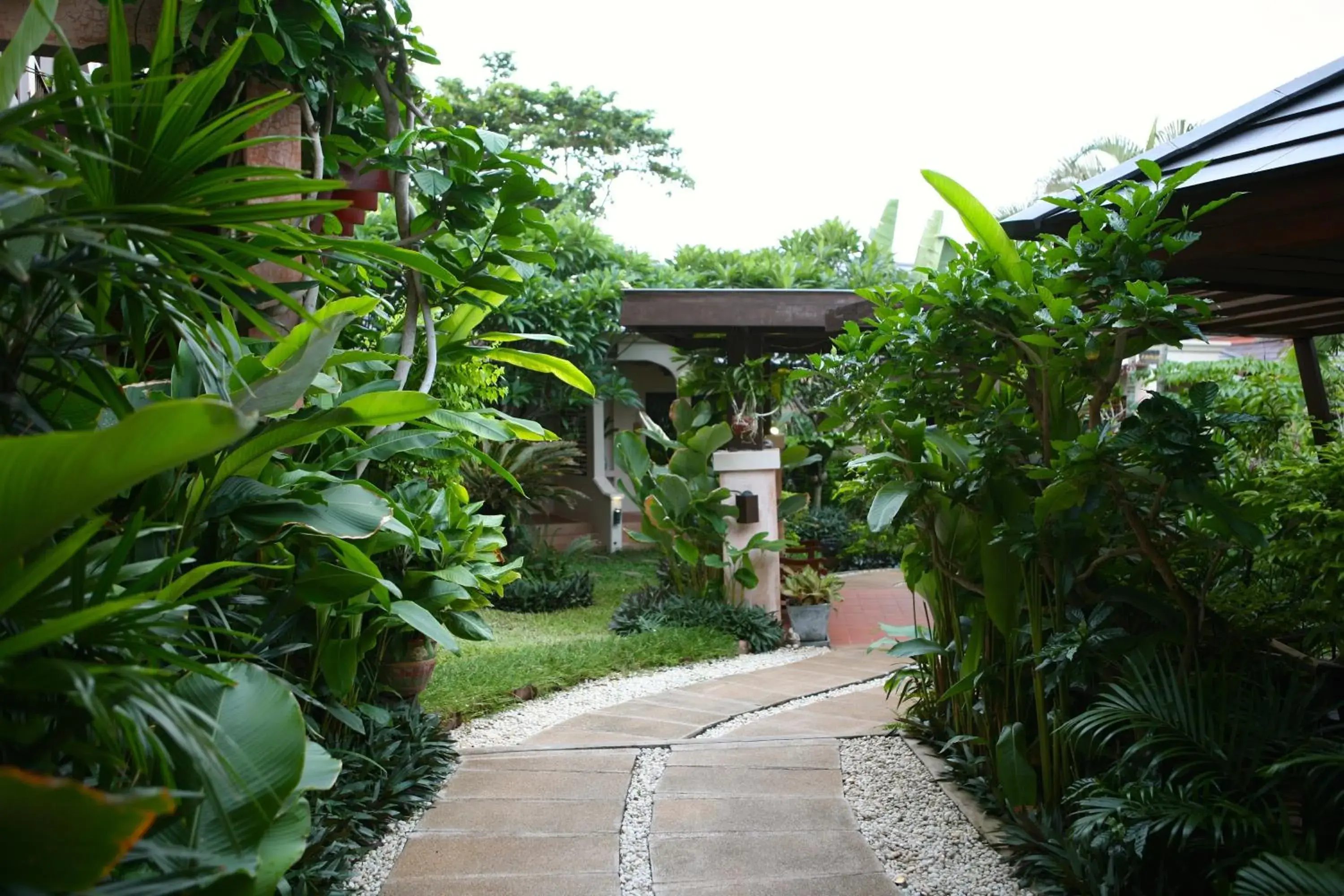 Garden in Samui Jasmine Resort - SHA Plus