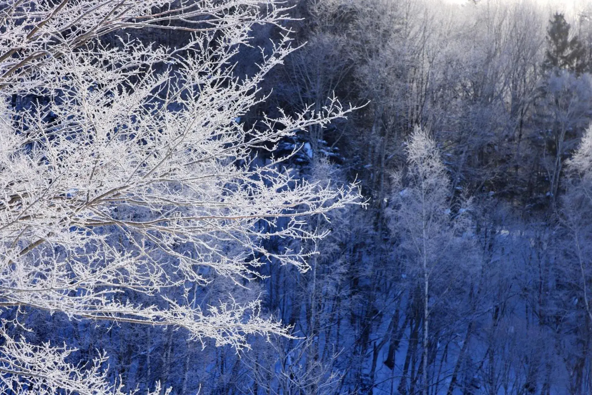 Winter in Hotel Edel Warme