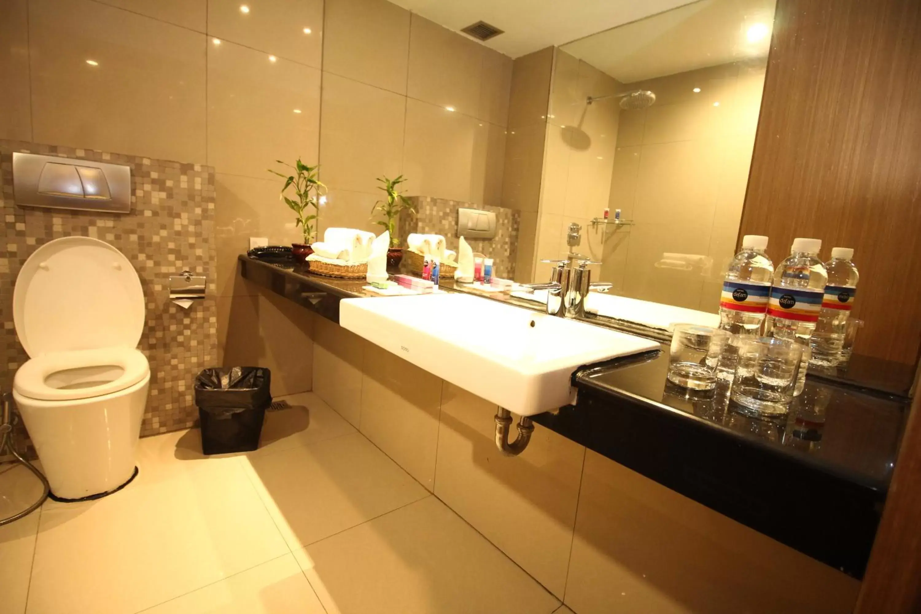 Shower, Bathroom in Hotel Dafam Pekanbaru