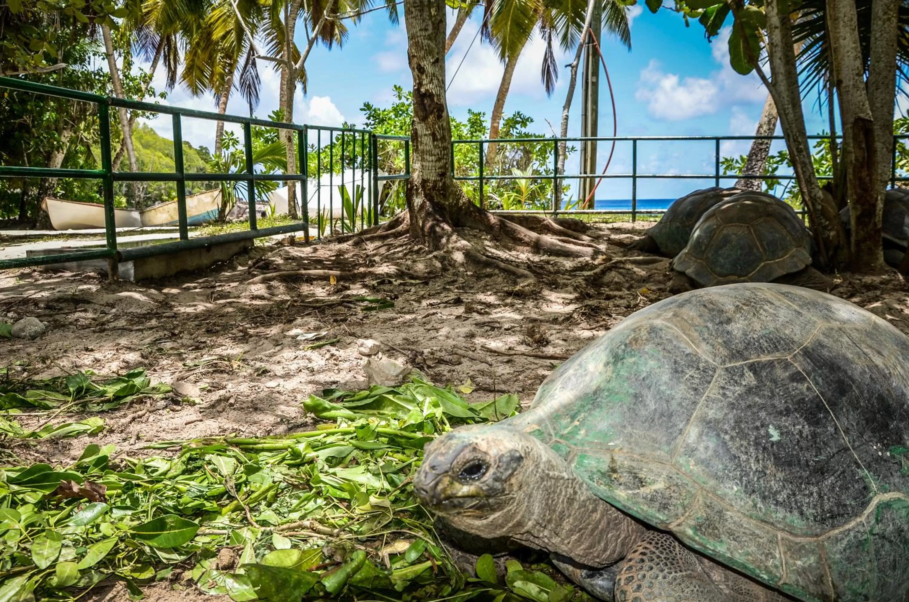 Nearby landmark in Villa Chez Batista