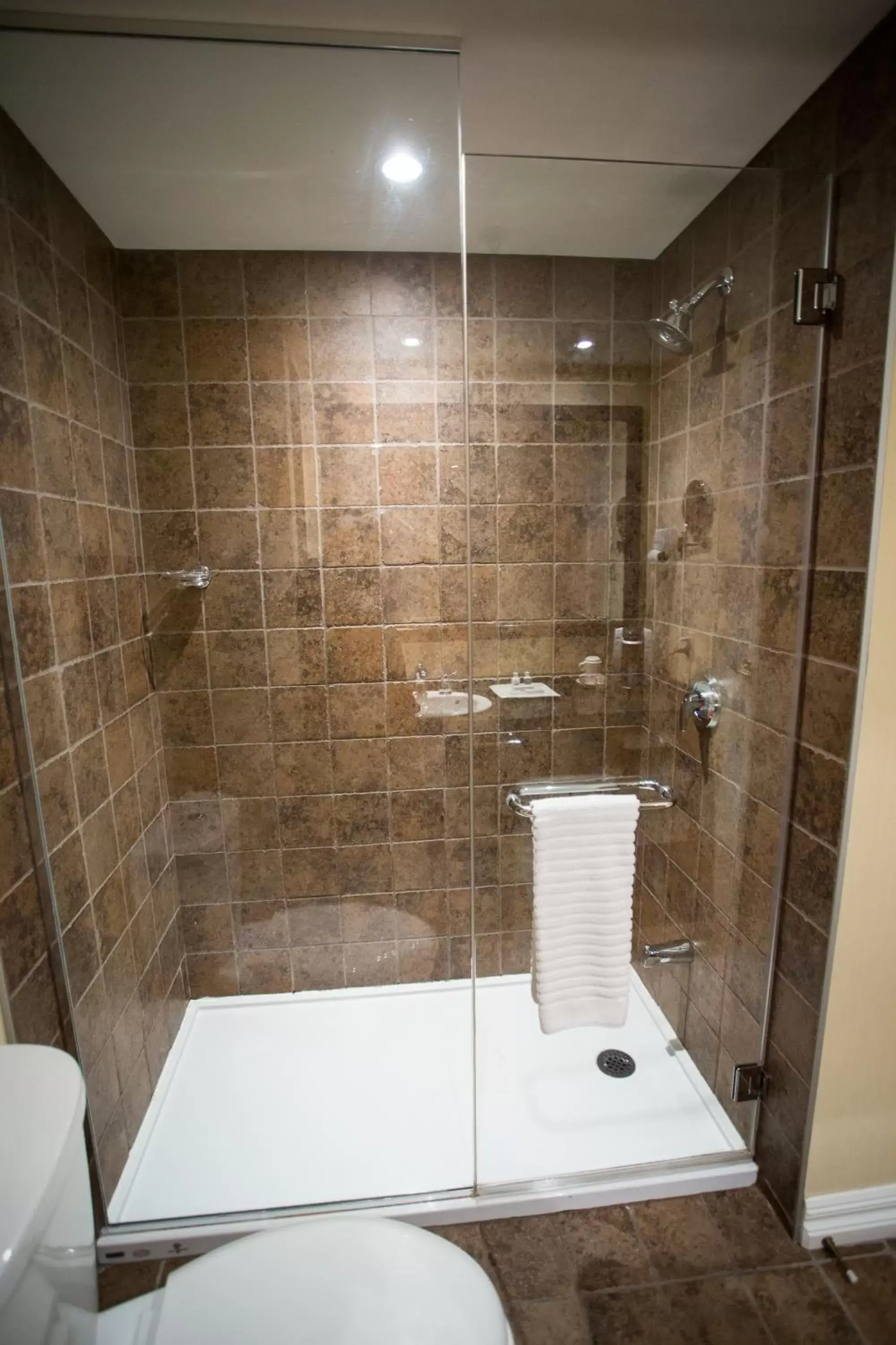 Shower, Bathroom in Hotel Vallea Bromont