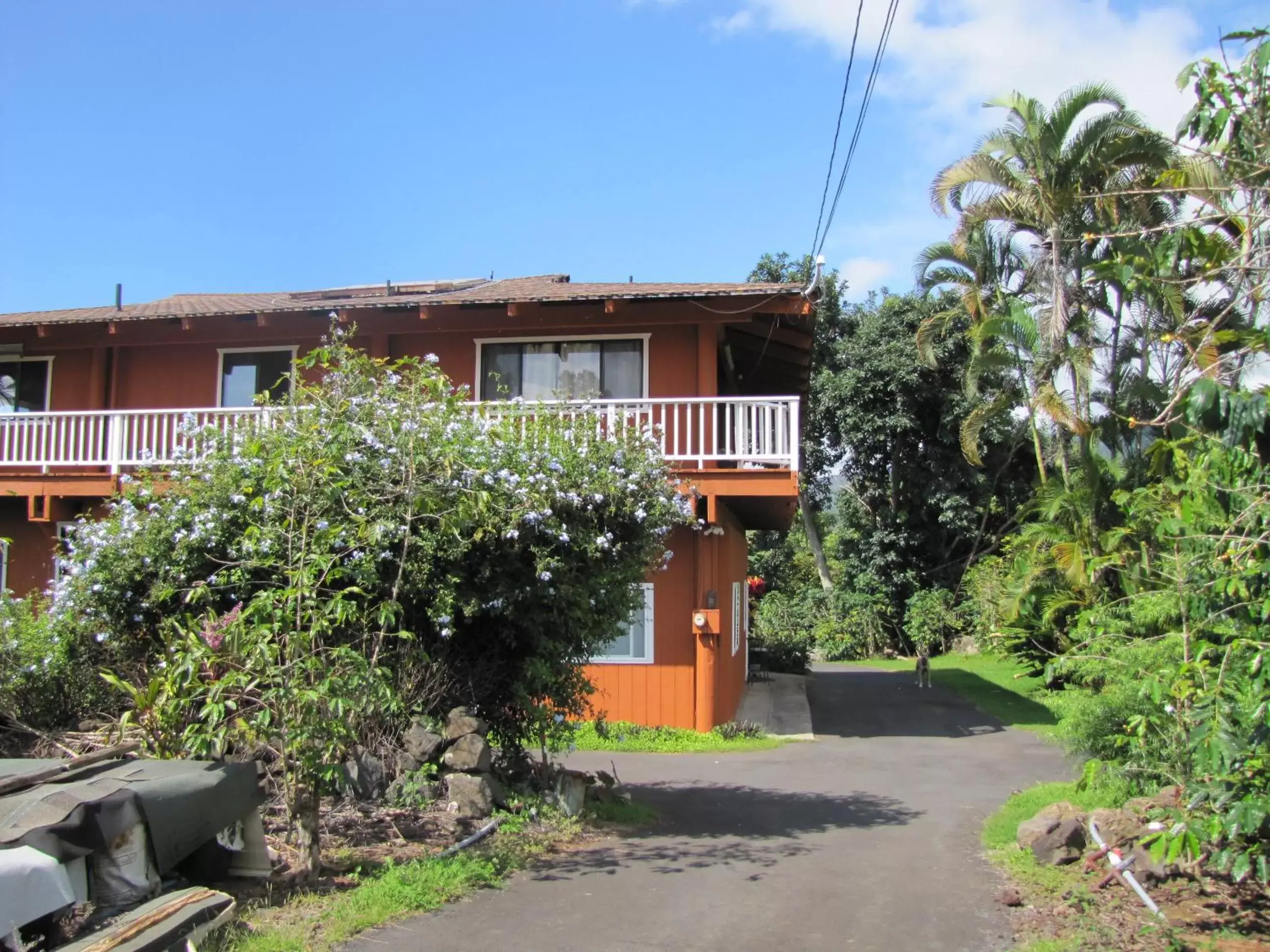 Property Building in Coffee Garden