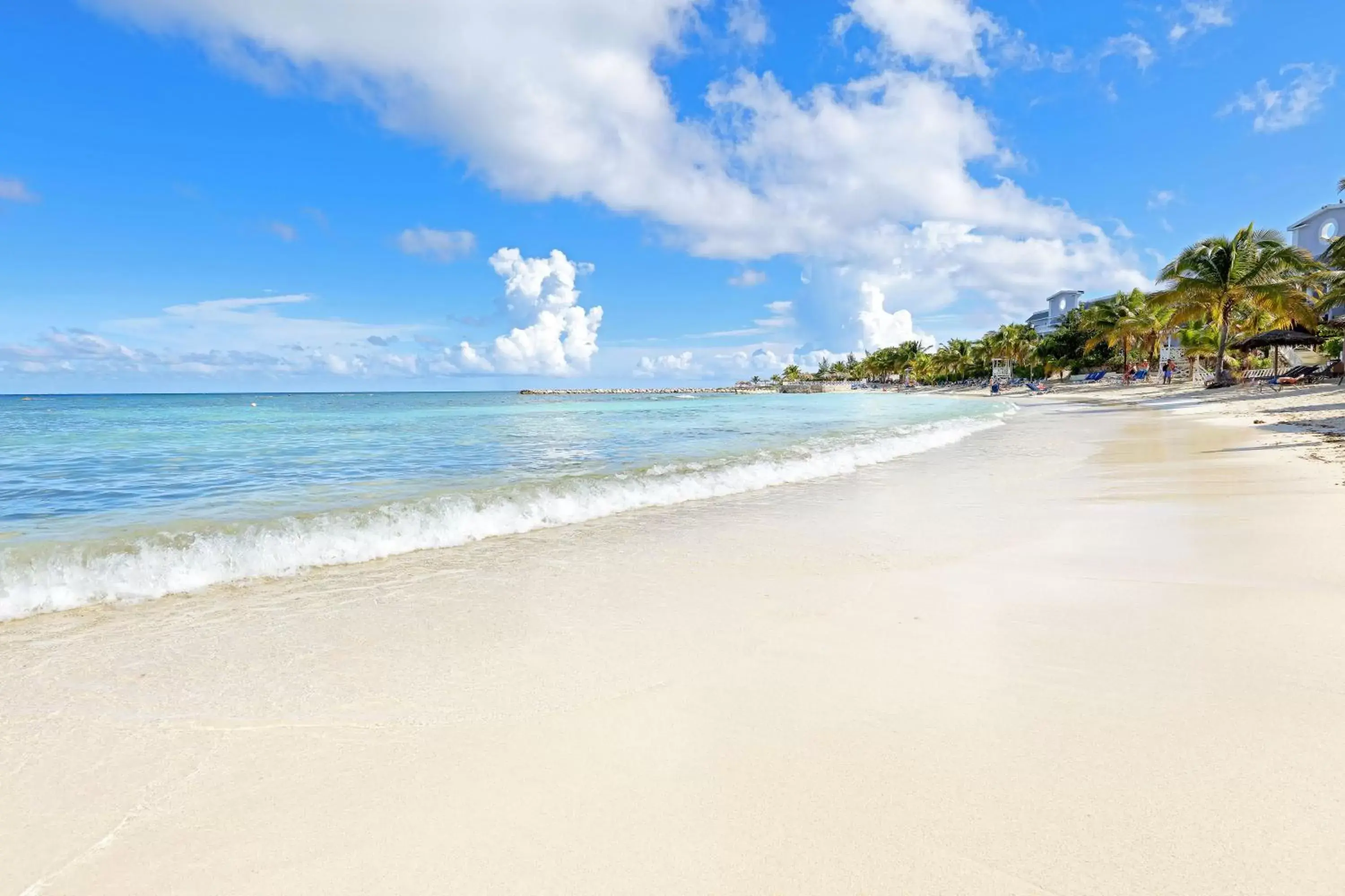 Beach in Grand Palladium Jamaica Resort & Spa All Inclusive