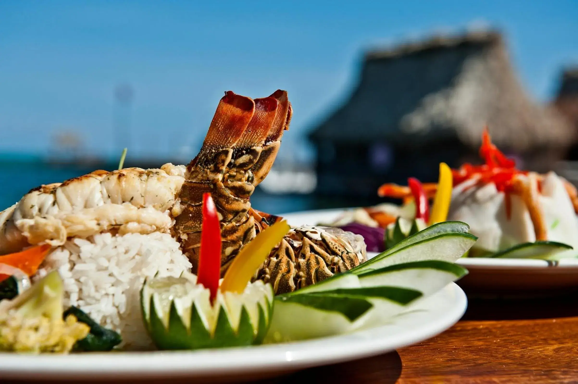 Food close-up, Food in Ramon's Village Resort