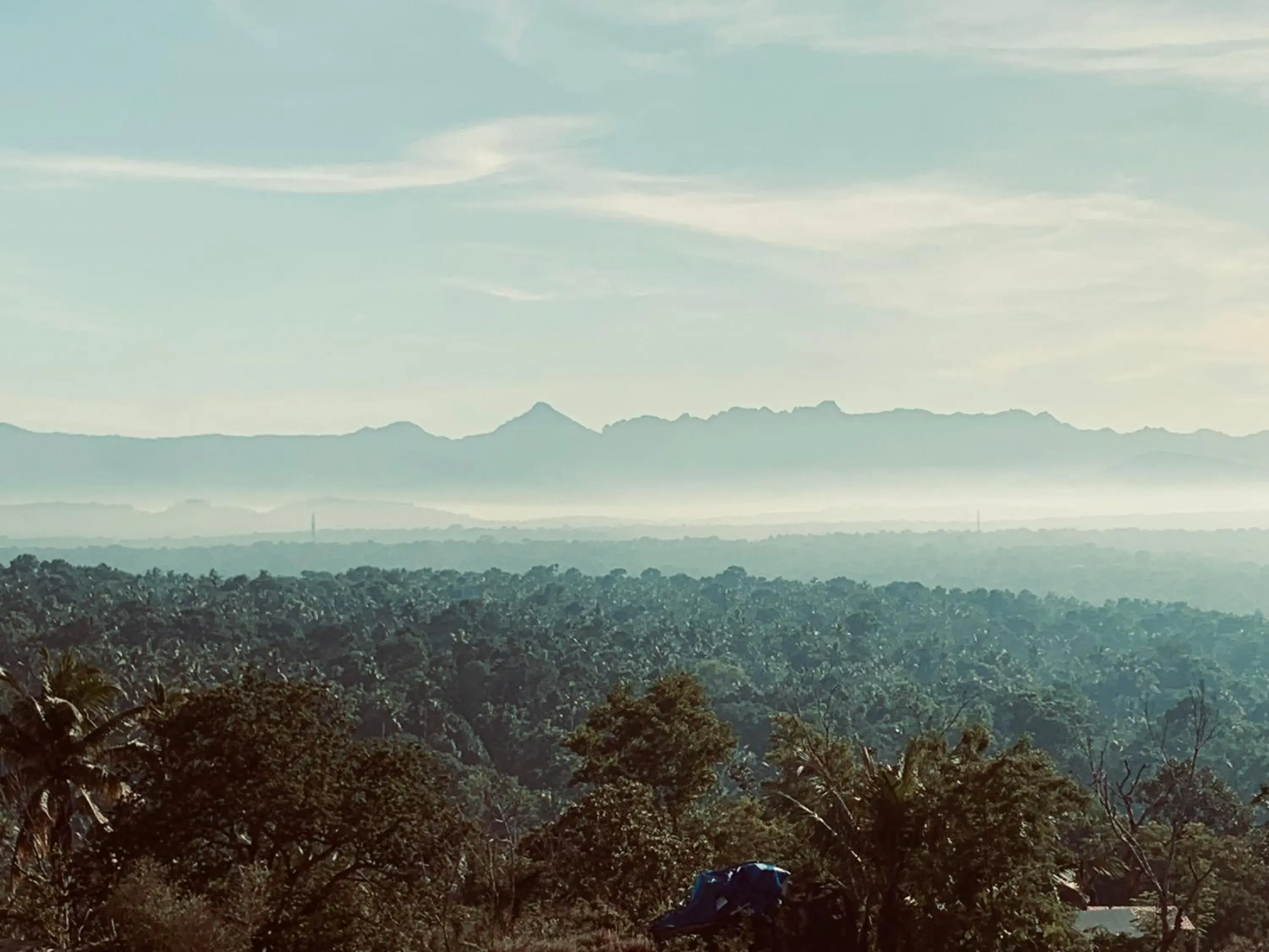 View (from property/room) in Amara Ayurveda Retreat