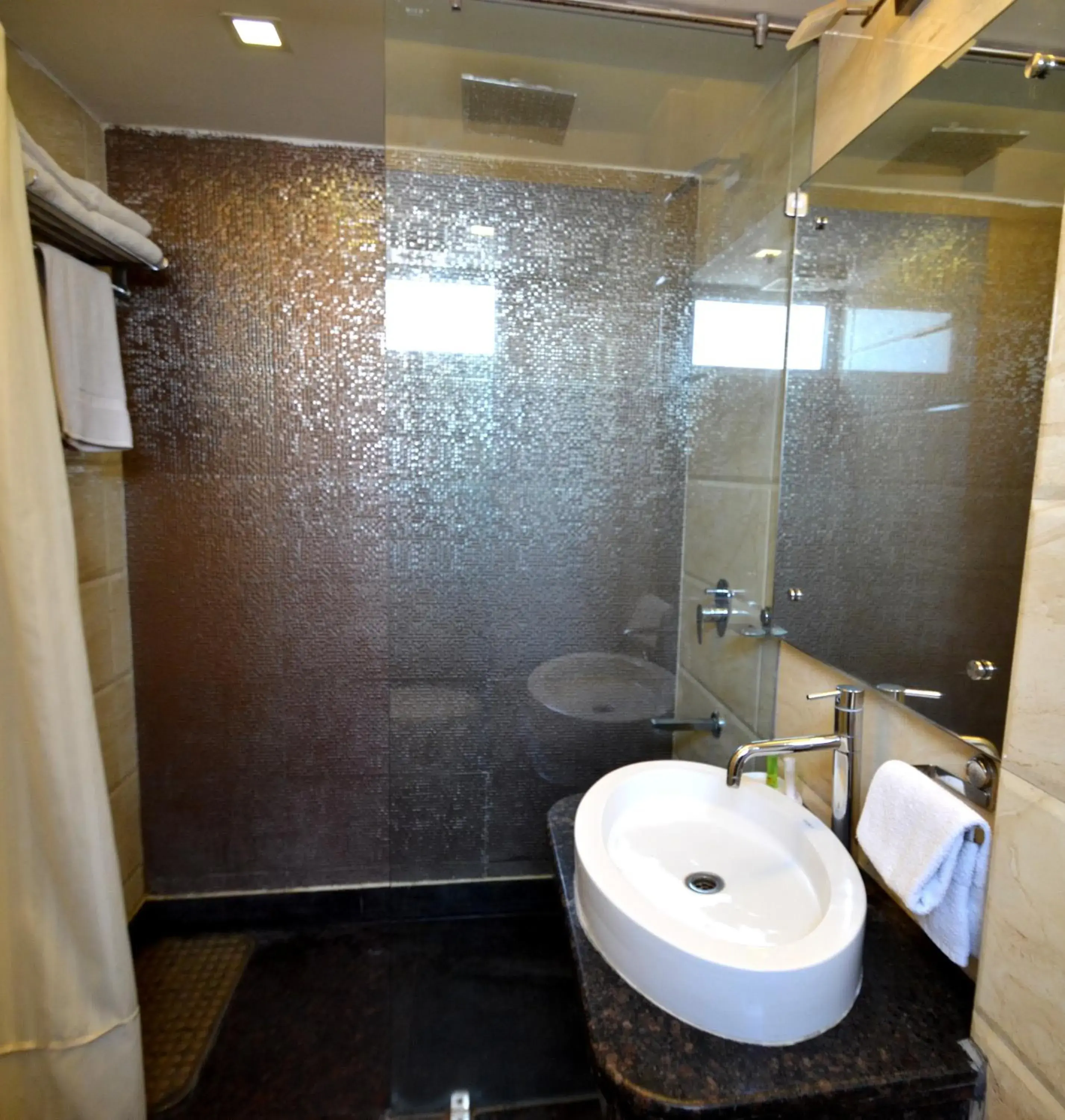 Shower, Bathroom in Hotel Metro View