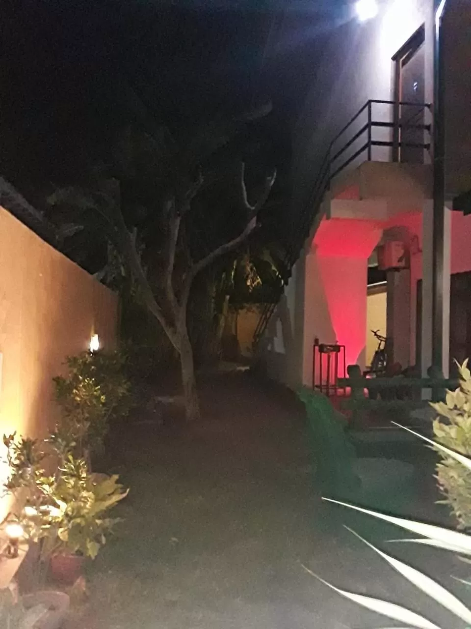 Evening entertainment in Villa DeLorenta