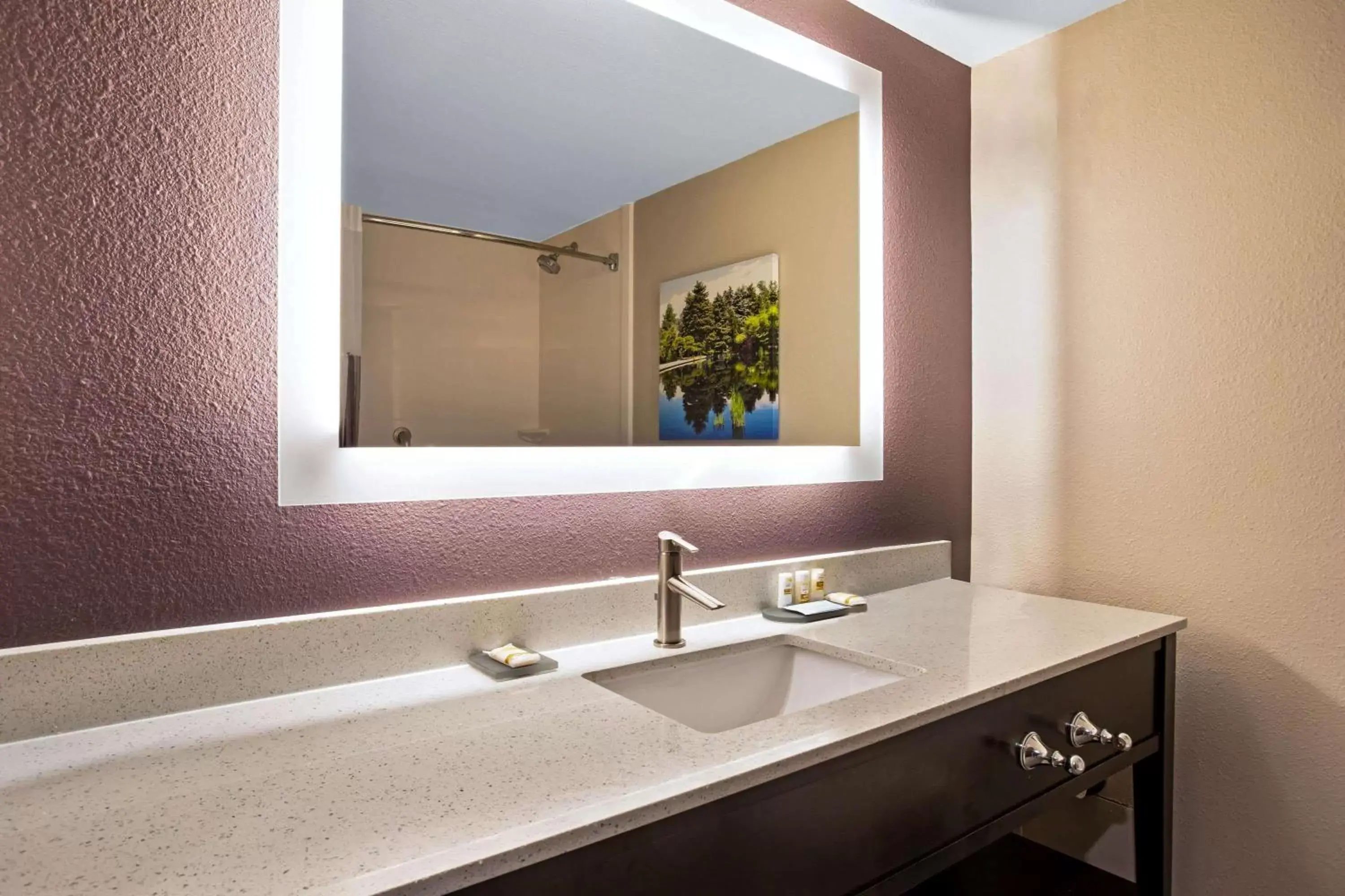 Bathroom in La Quinta by Wyndham Denver Aurora Medical
