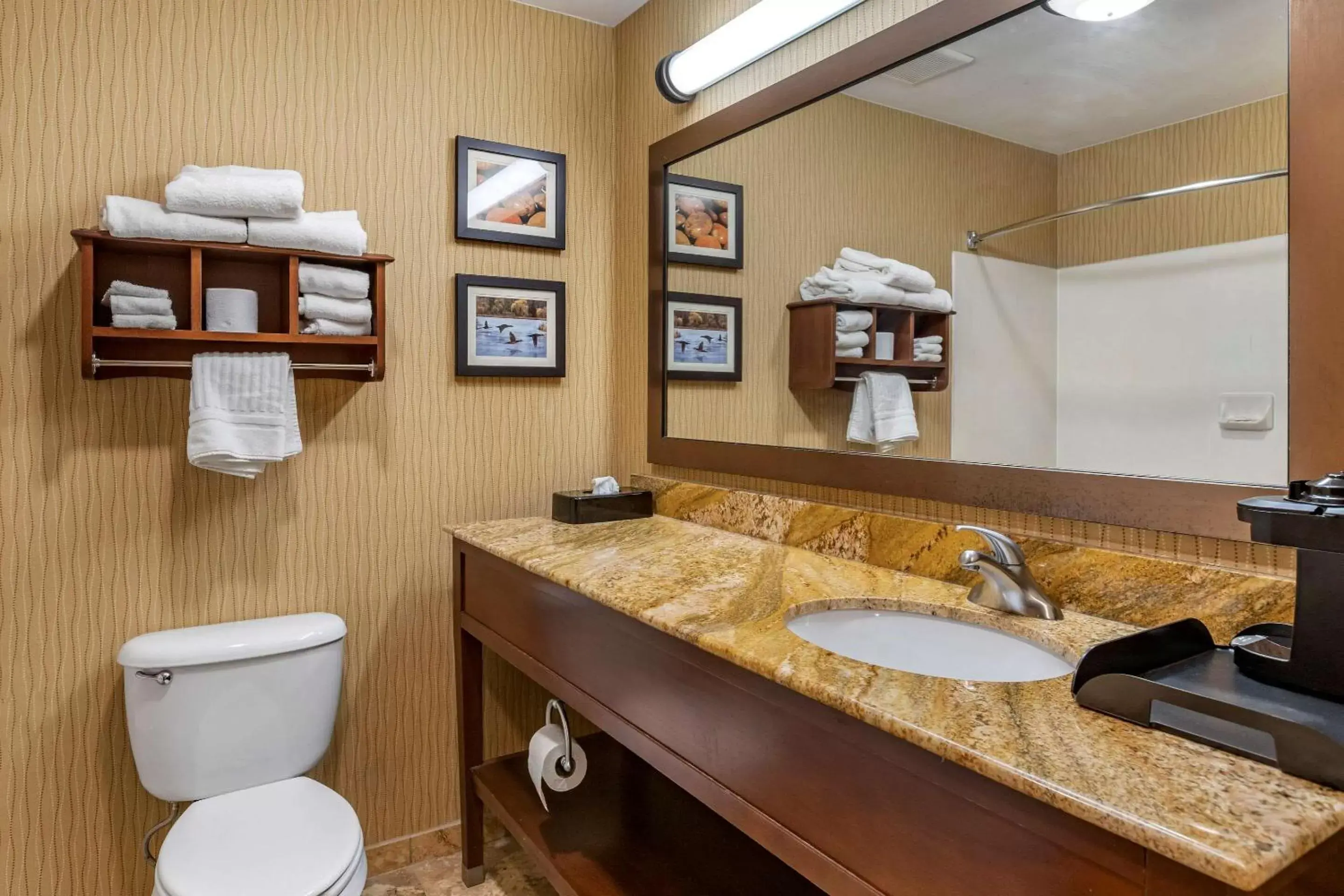 Photo of the whole room, Bathroom in Comfort Inn Wings Stadium