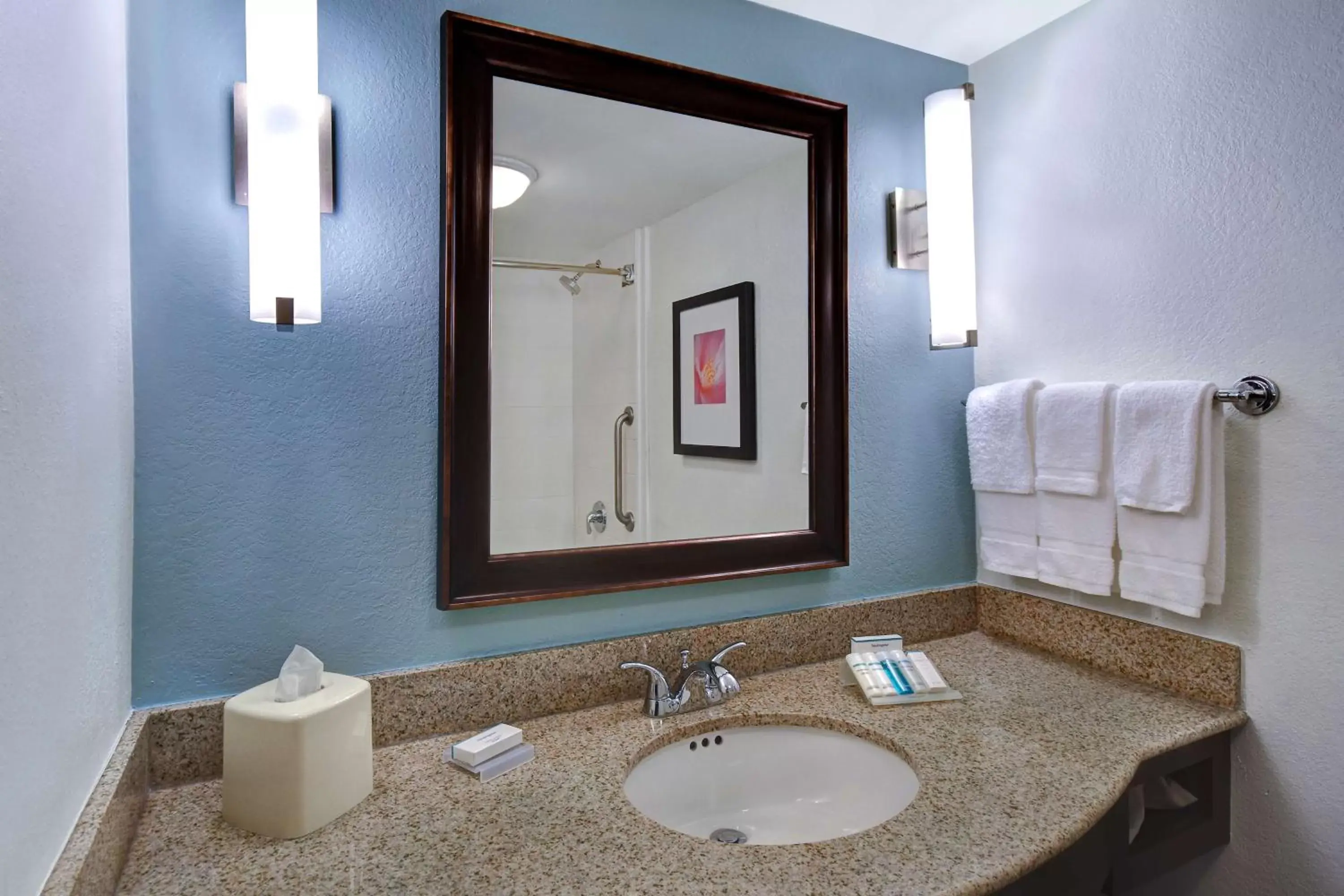 Bathroom in Hilton Garden Inn Fort Myers