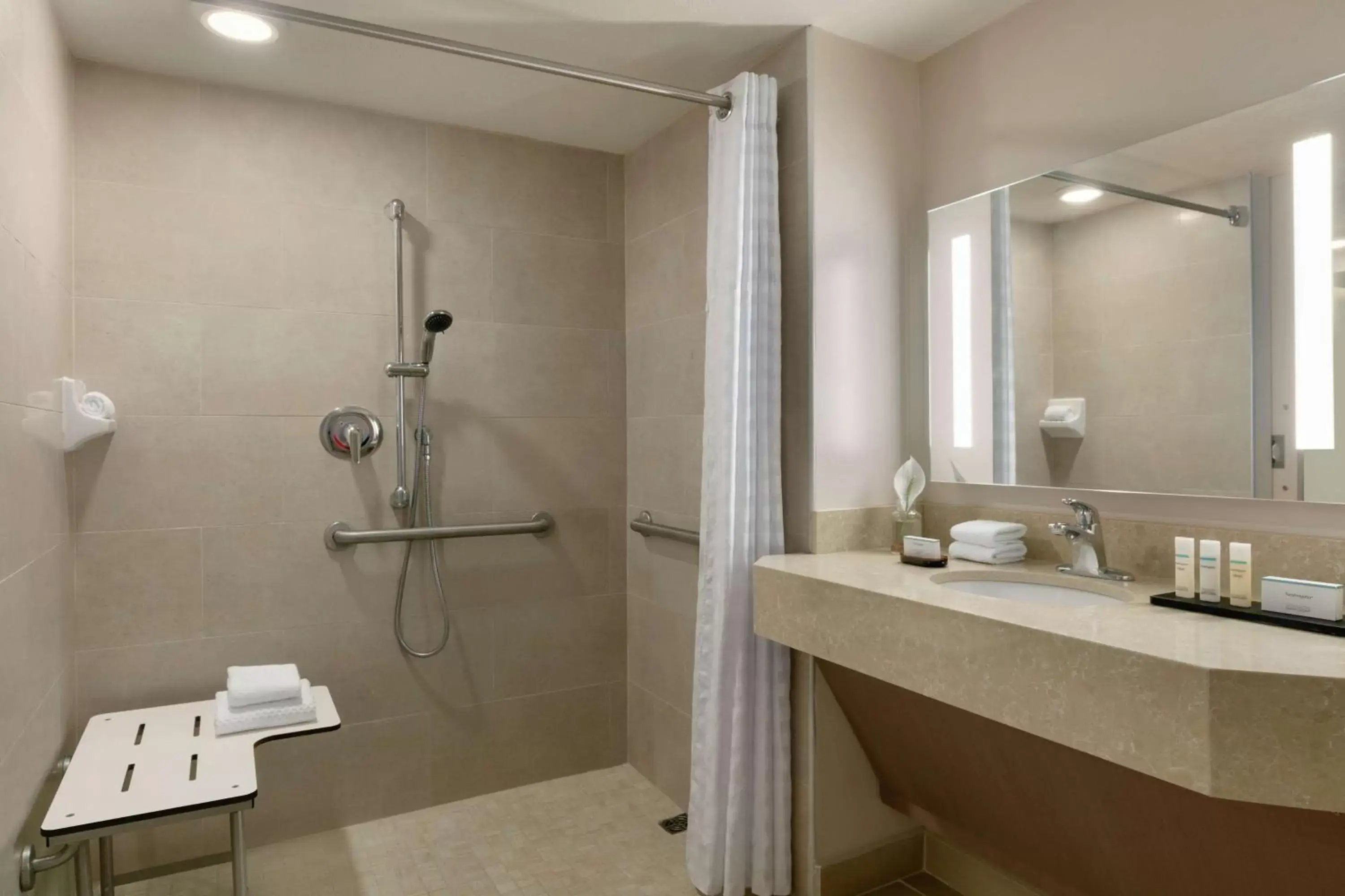 Bathroom in Embassy Suites by Hilton San Juan - Hotel & Casino