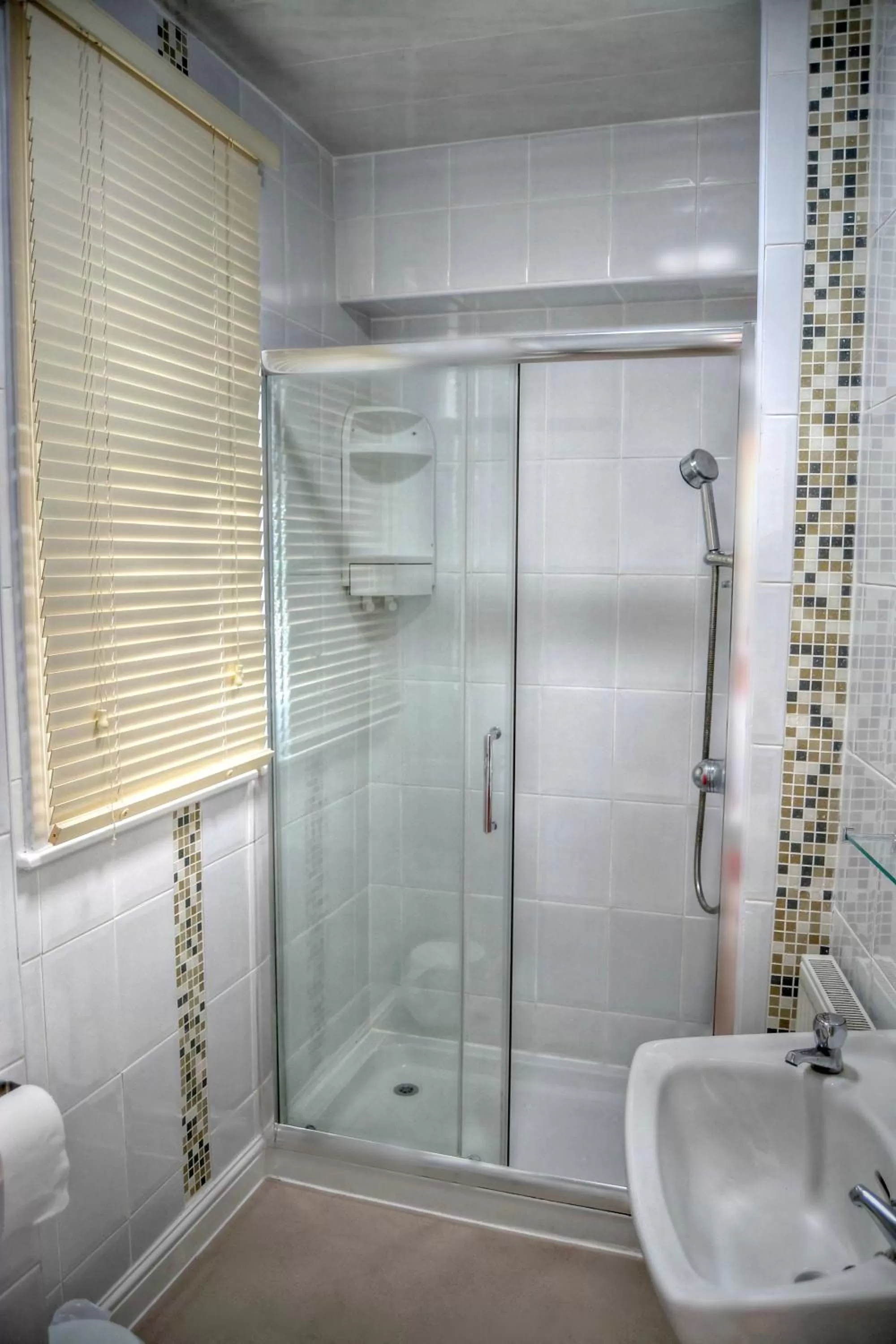 Shower in Lion Hotel & Studio Apartments