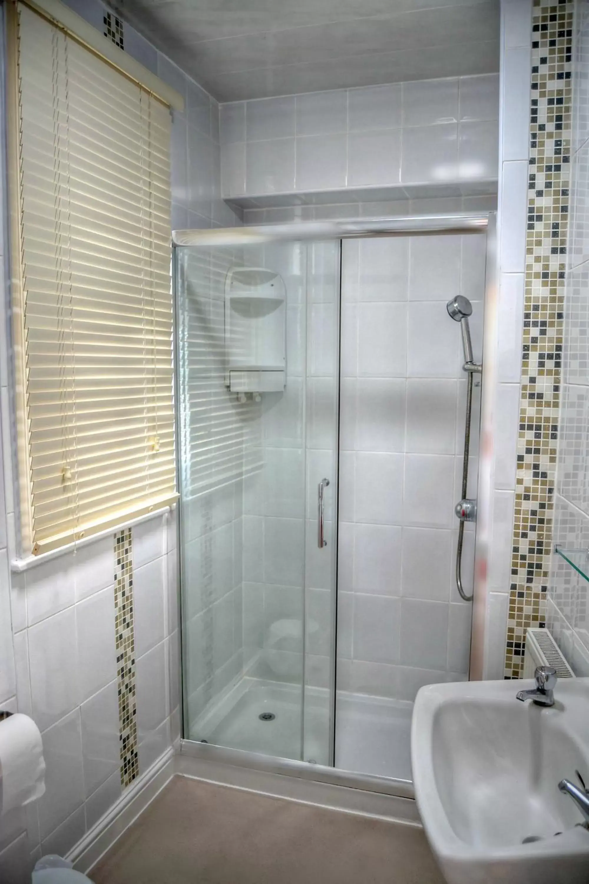 Shower, Bathroom in Lion Hotel & Studio Apartments