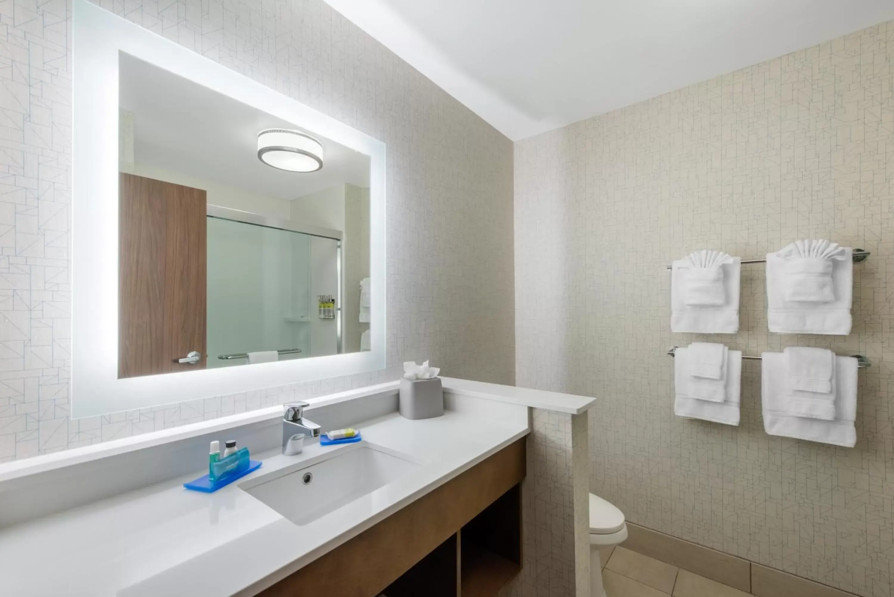 Photo of the whole room, Bathroom in Holiday Inn Express & Suites Alachua - Gainesville Area, an IHG Hotel