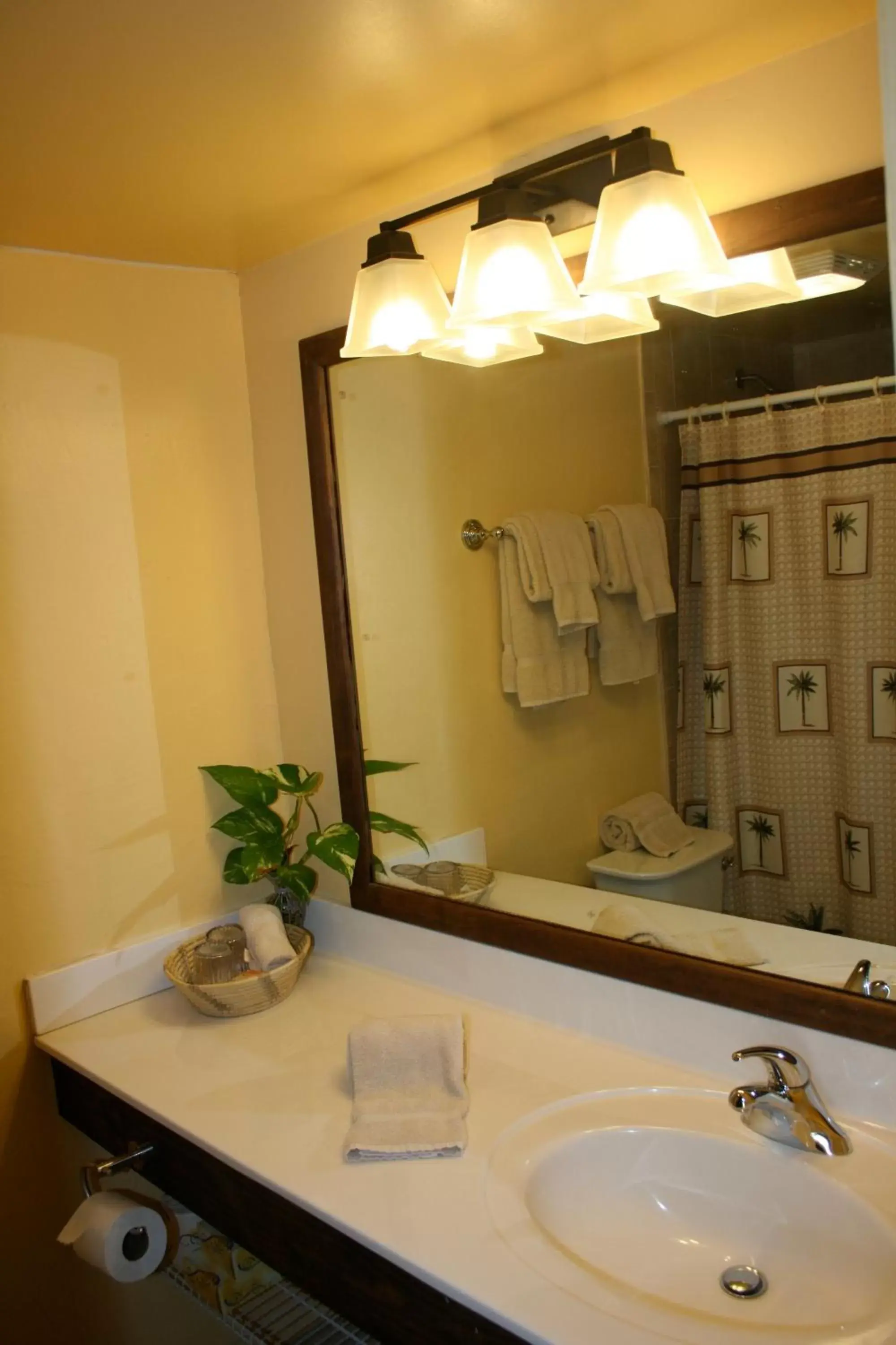 Bathroom in Hotel on the Cay