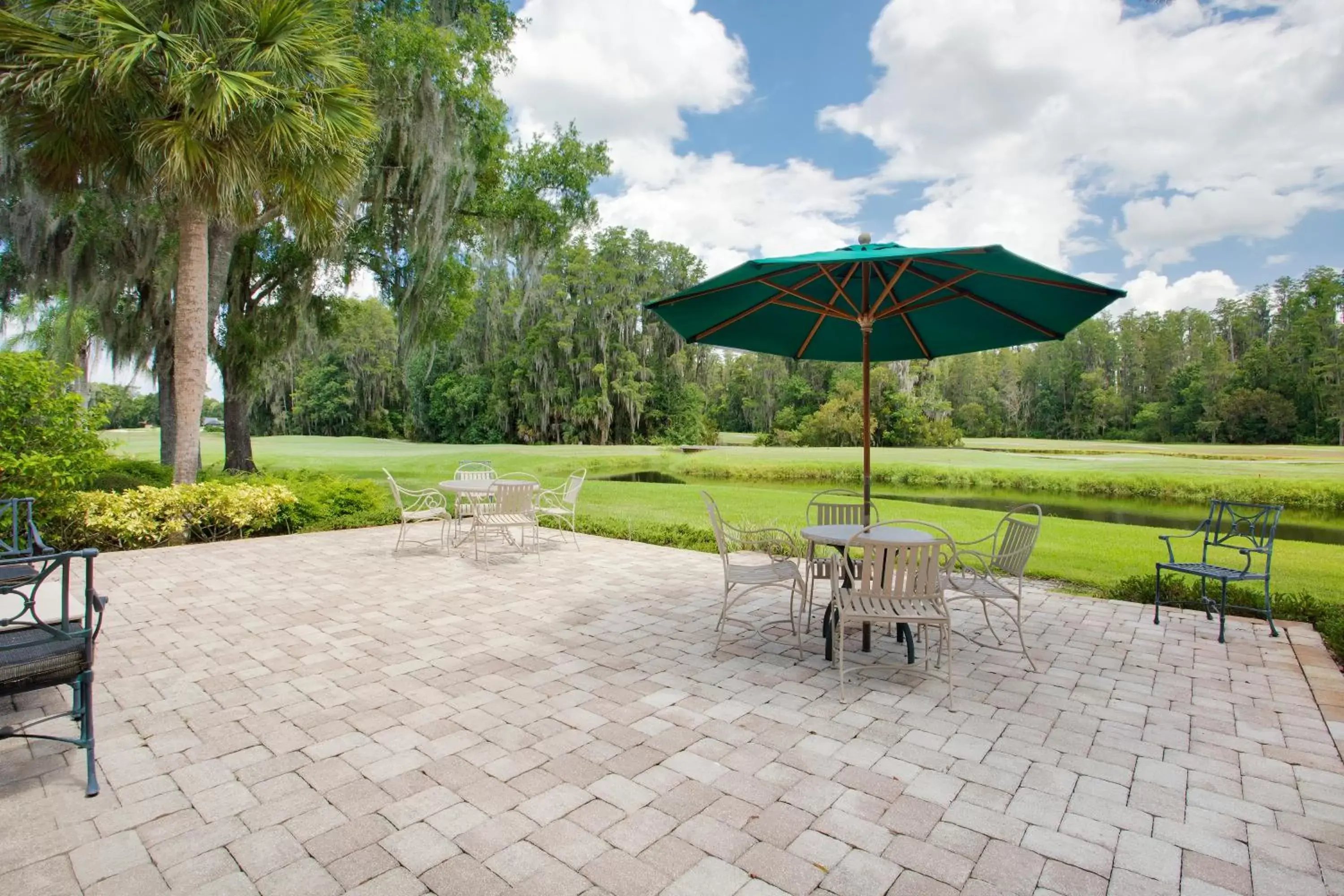 Patio, Swimming Pool in Saddlebrook Golf Resort & Spa Tampa North-Wesley Chapel