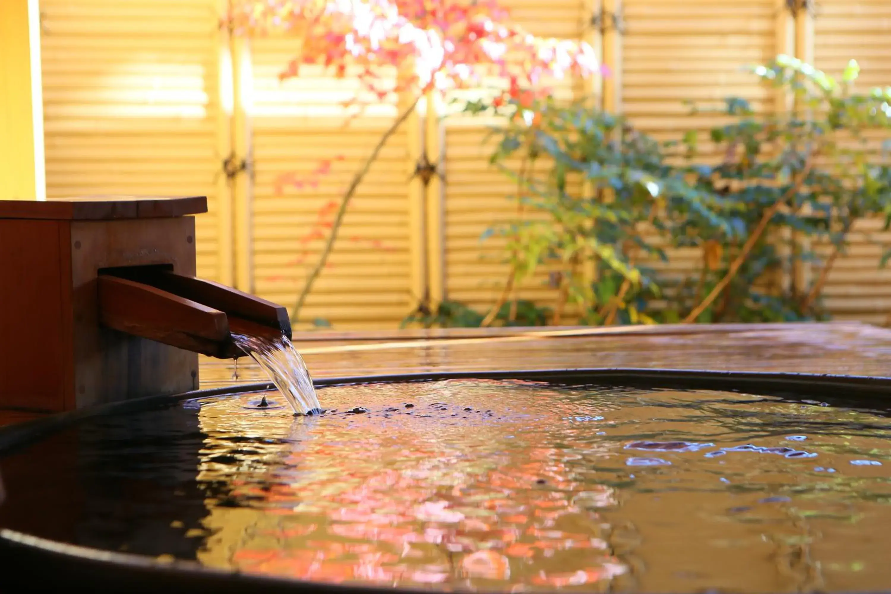 Hot Spring Bath, Swimming Pool in Hotel Tamanoyu