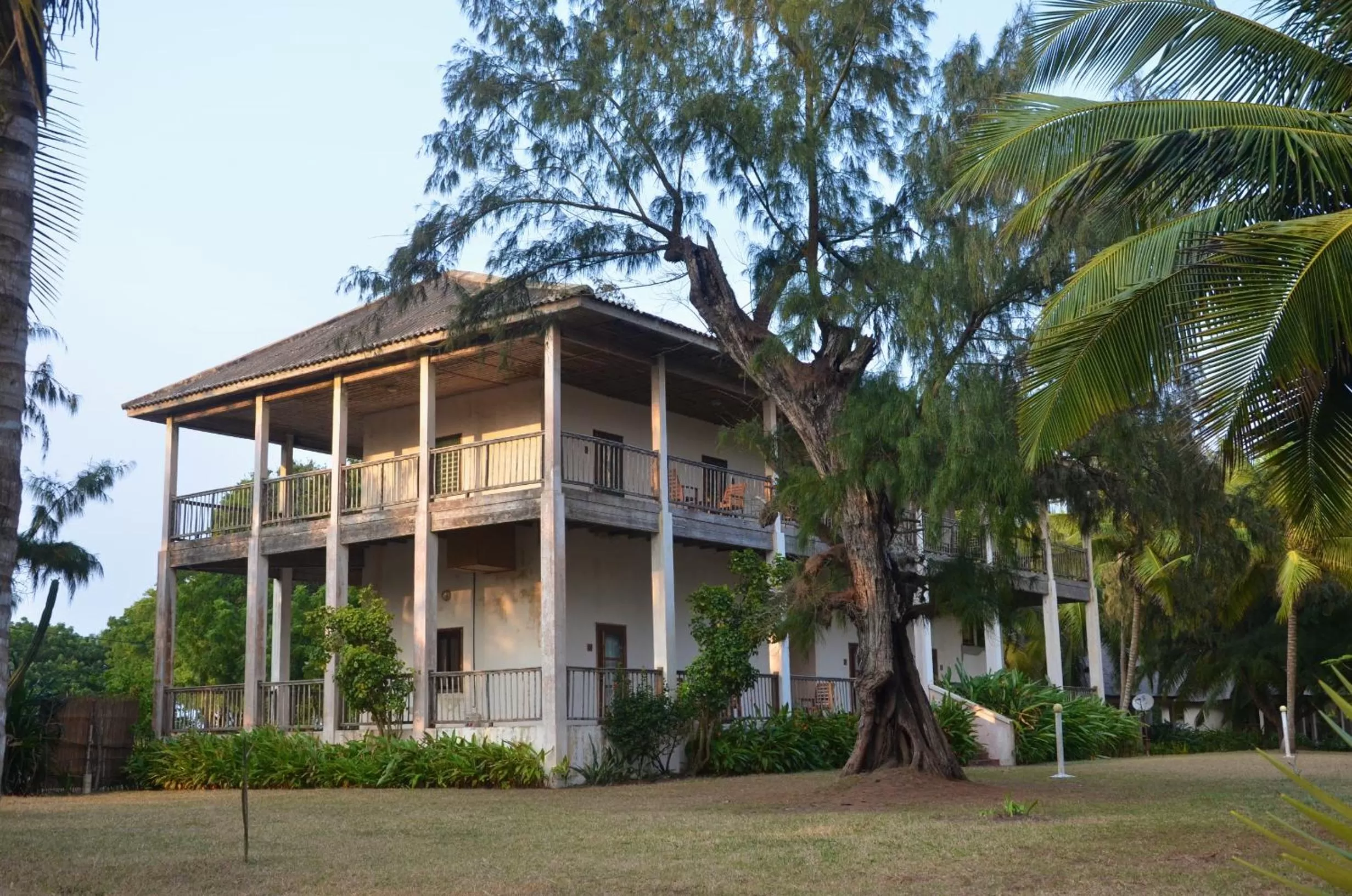 Day, Garden in Auberge de Grand Popo