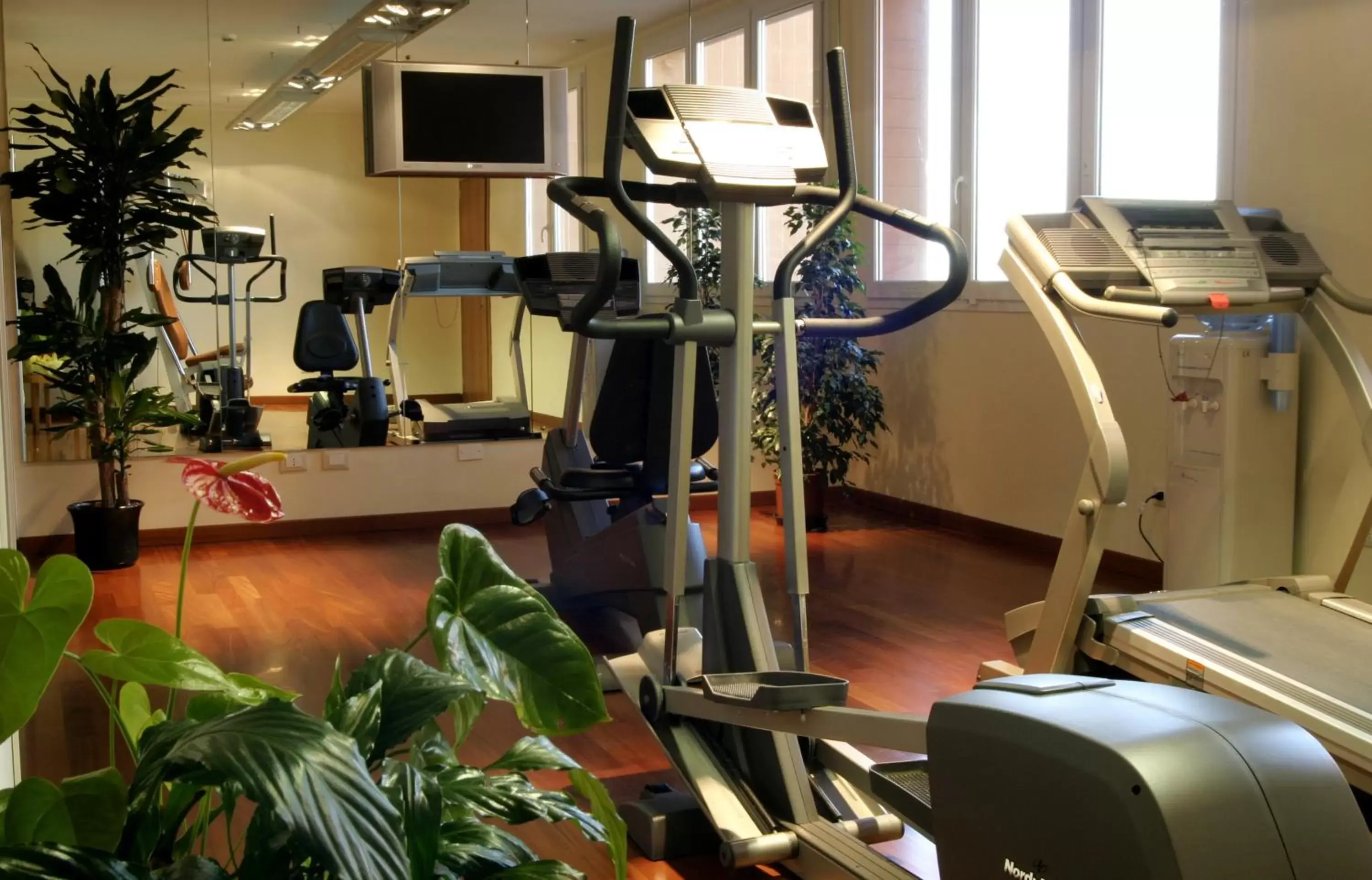 Fitness centre/facilities, Fitness Center/Facilities in Crowne Plaza Venice East, an IHG Hotel