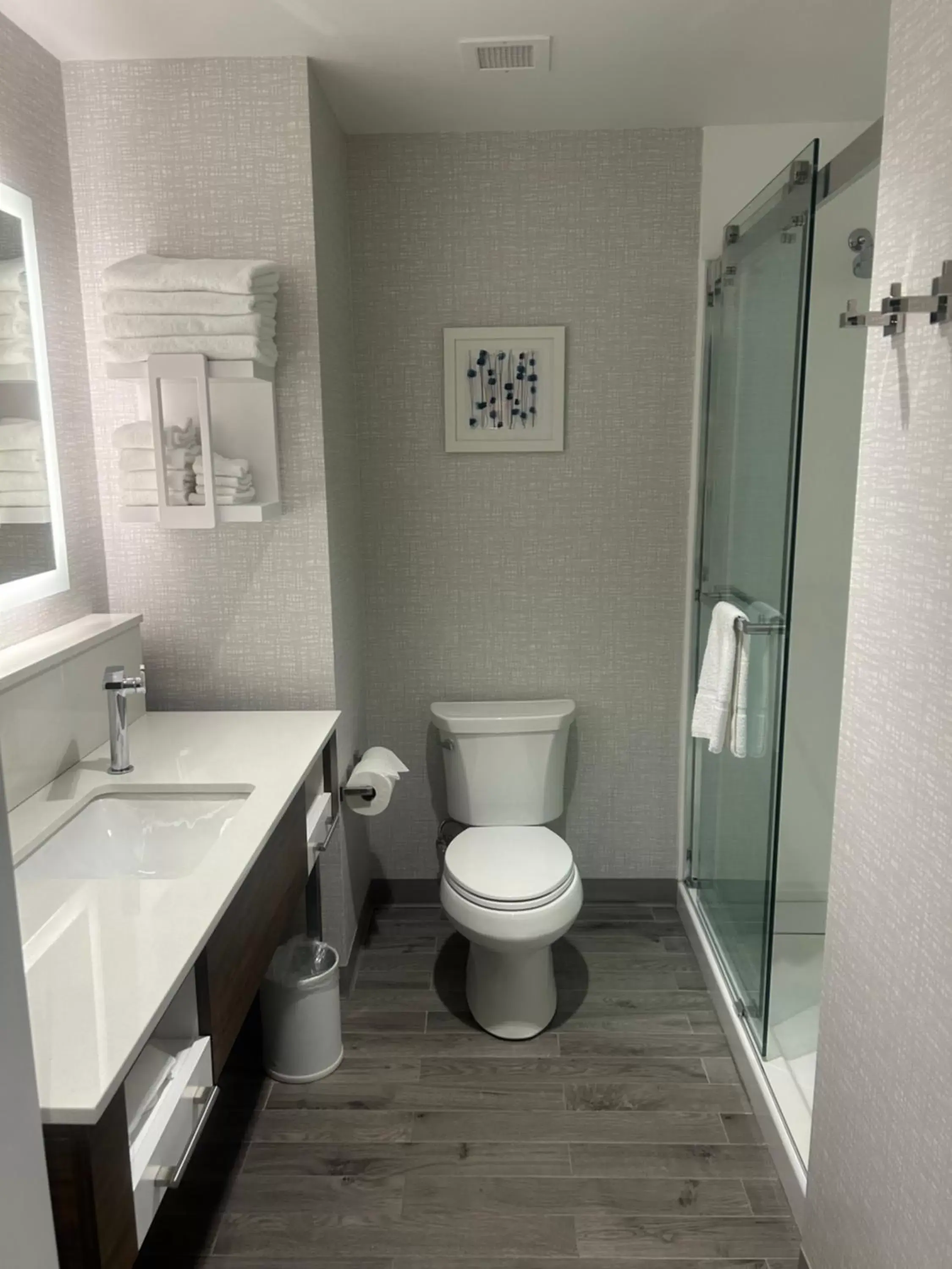 Shower, Bathroom in Hampton Inn By Hilton Kingston