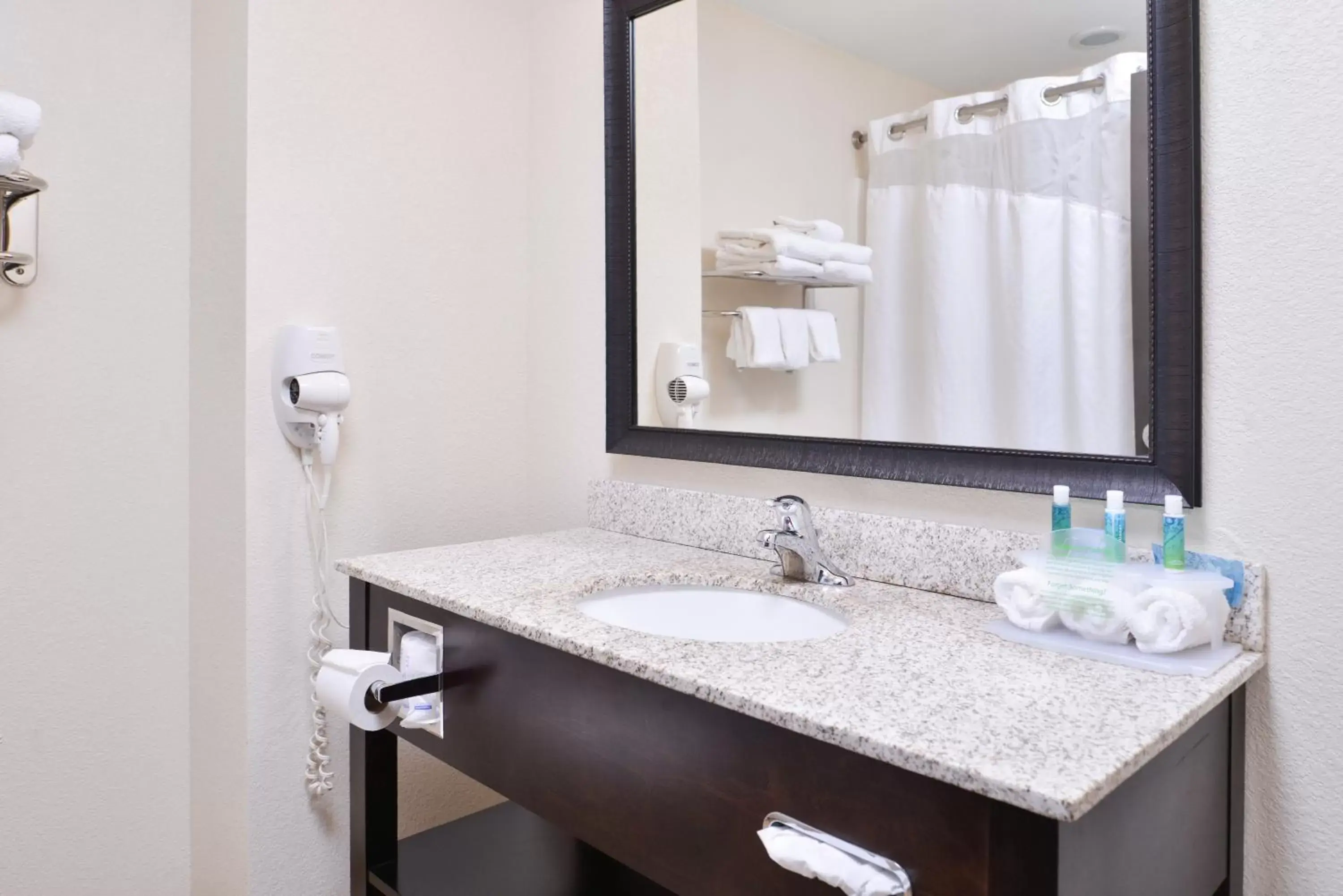 Bathroom in Holiday Inn Express & Suites Emporia Northwest, an IHG Hotel