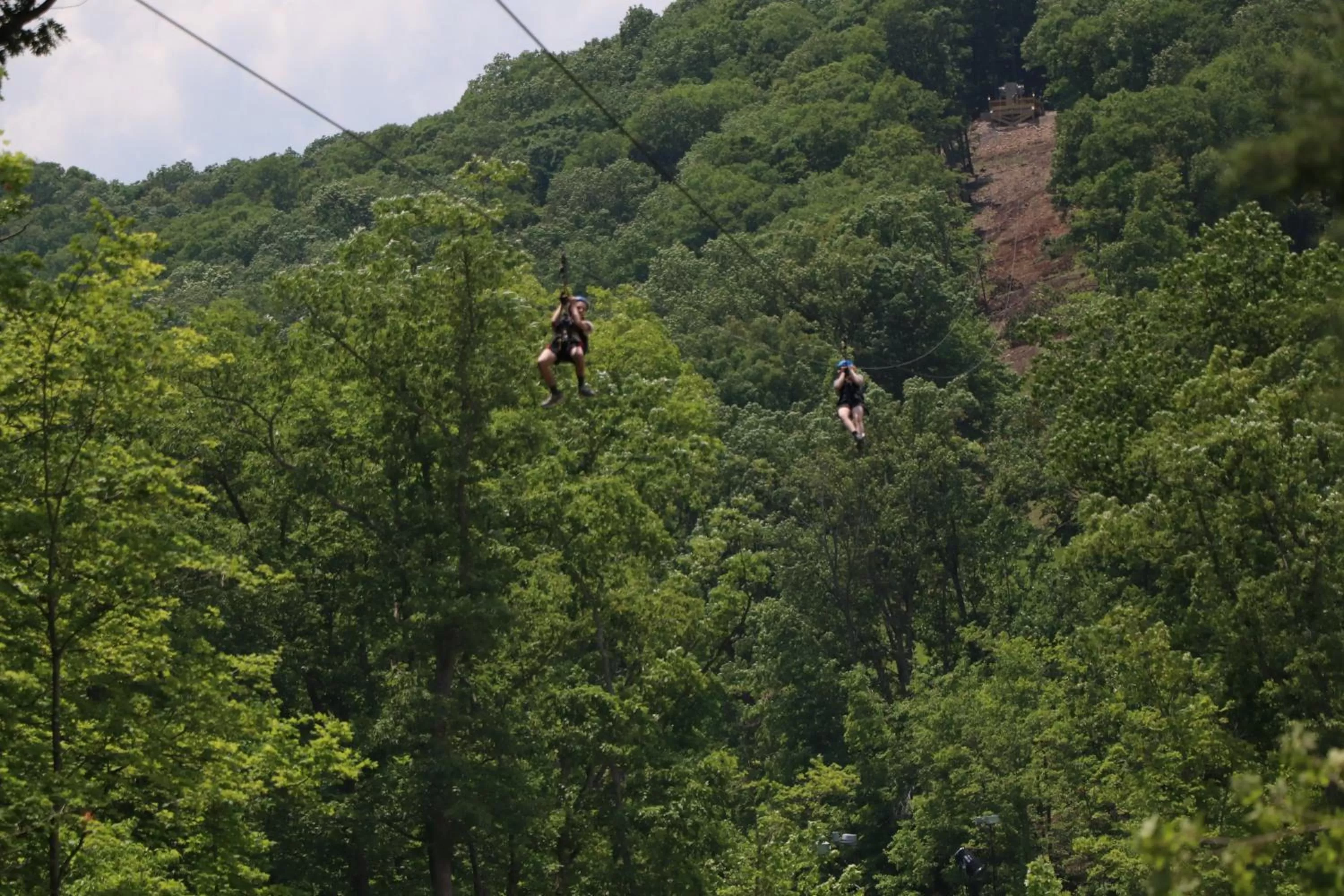 Nearby landmark in Holiday Inn At Six Flags Saint Louis by IHG