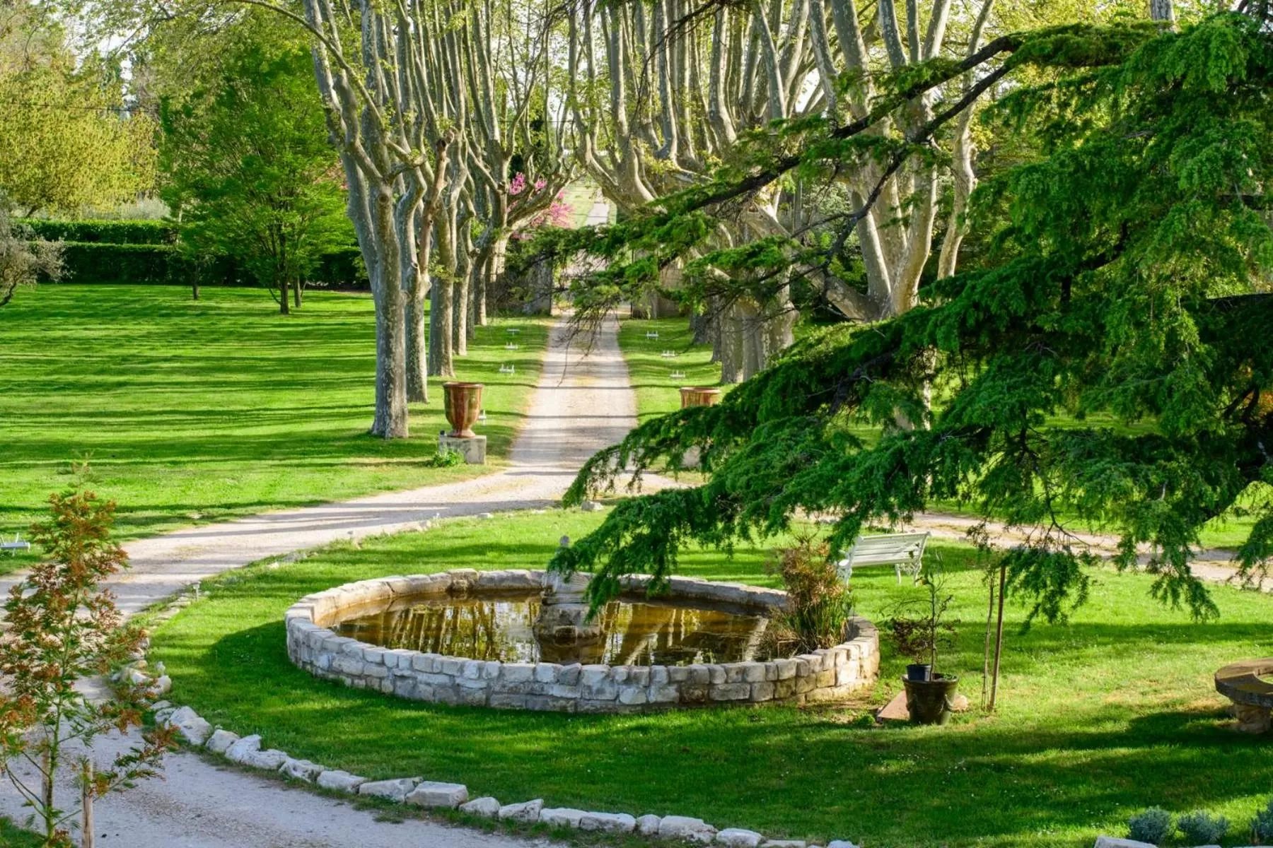 Garden in Bastide de Bellegarde