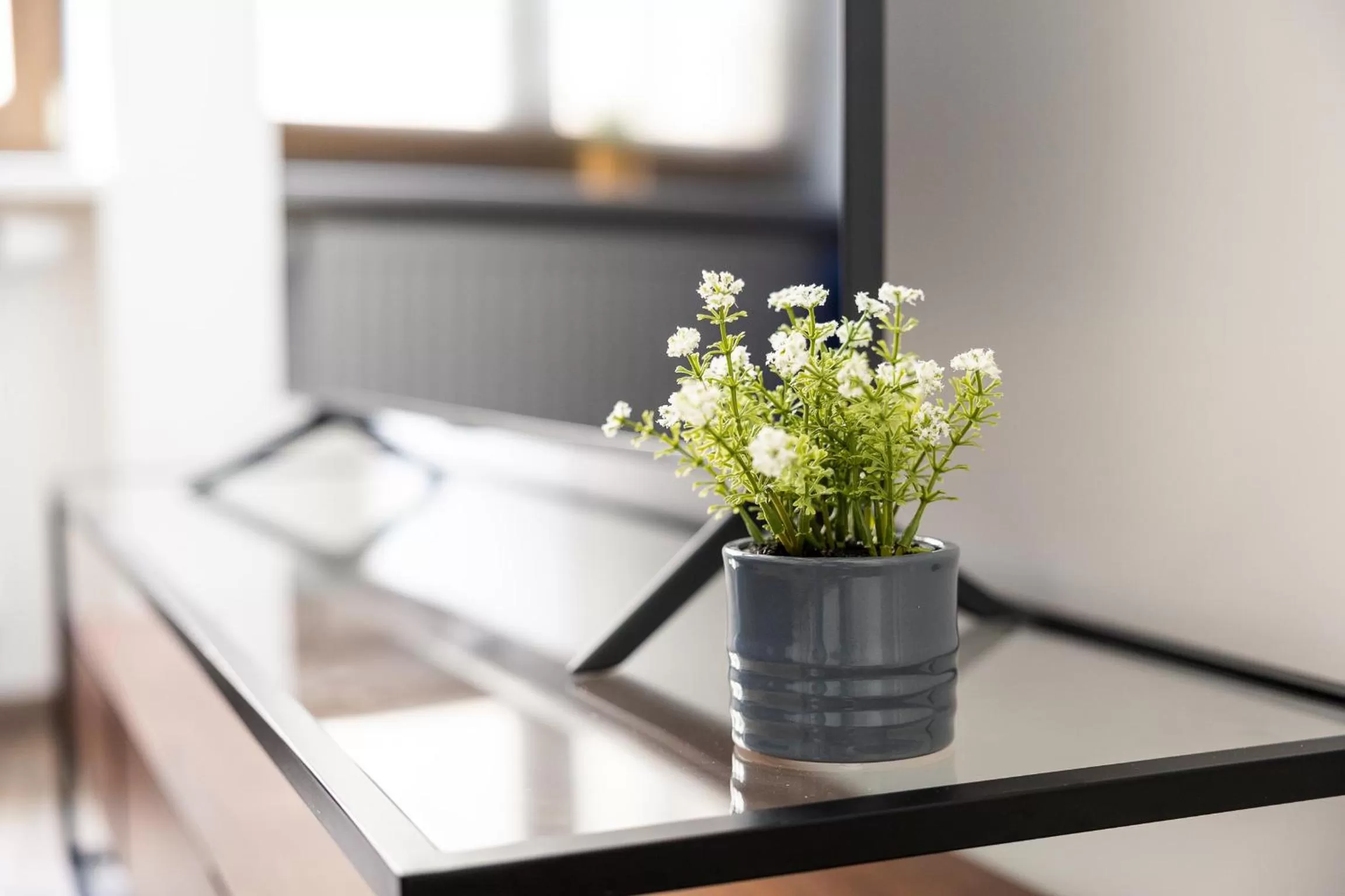 TV and multimedia in Apartments am Neuen Theater - Altstadt - Zentral - Küche - Wifi - Powered by Ko-Living