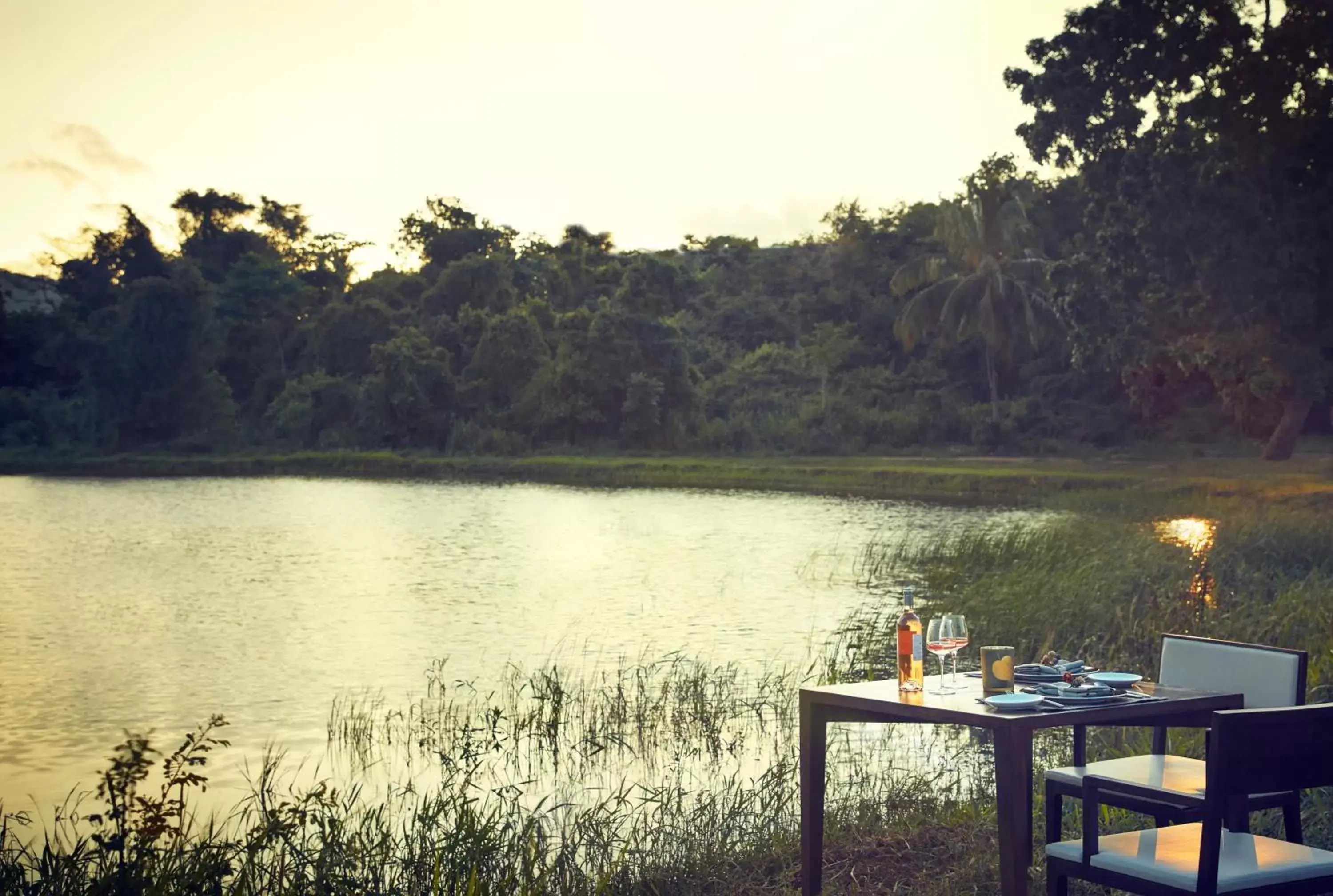 Garden view in Jetwing Lake Garden view in Jetwing Lake