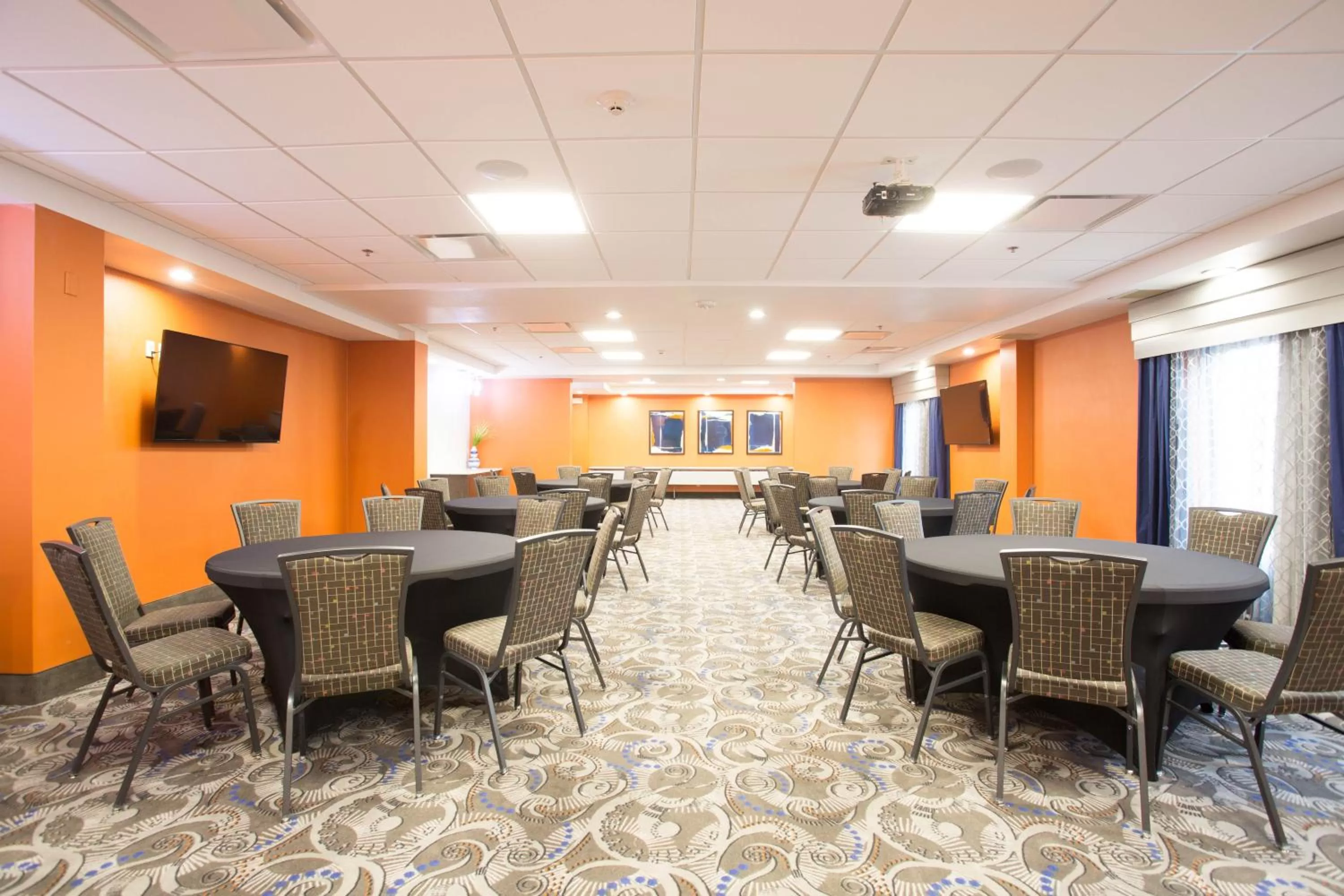 Banquet/Function facilities in Holiday Inn Express & Suites Nashville Southeast - Antioch by IHG