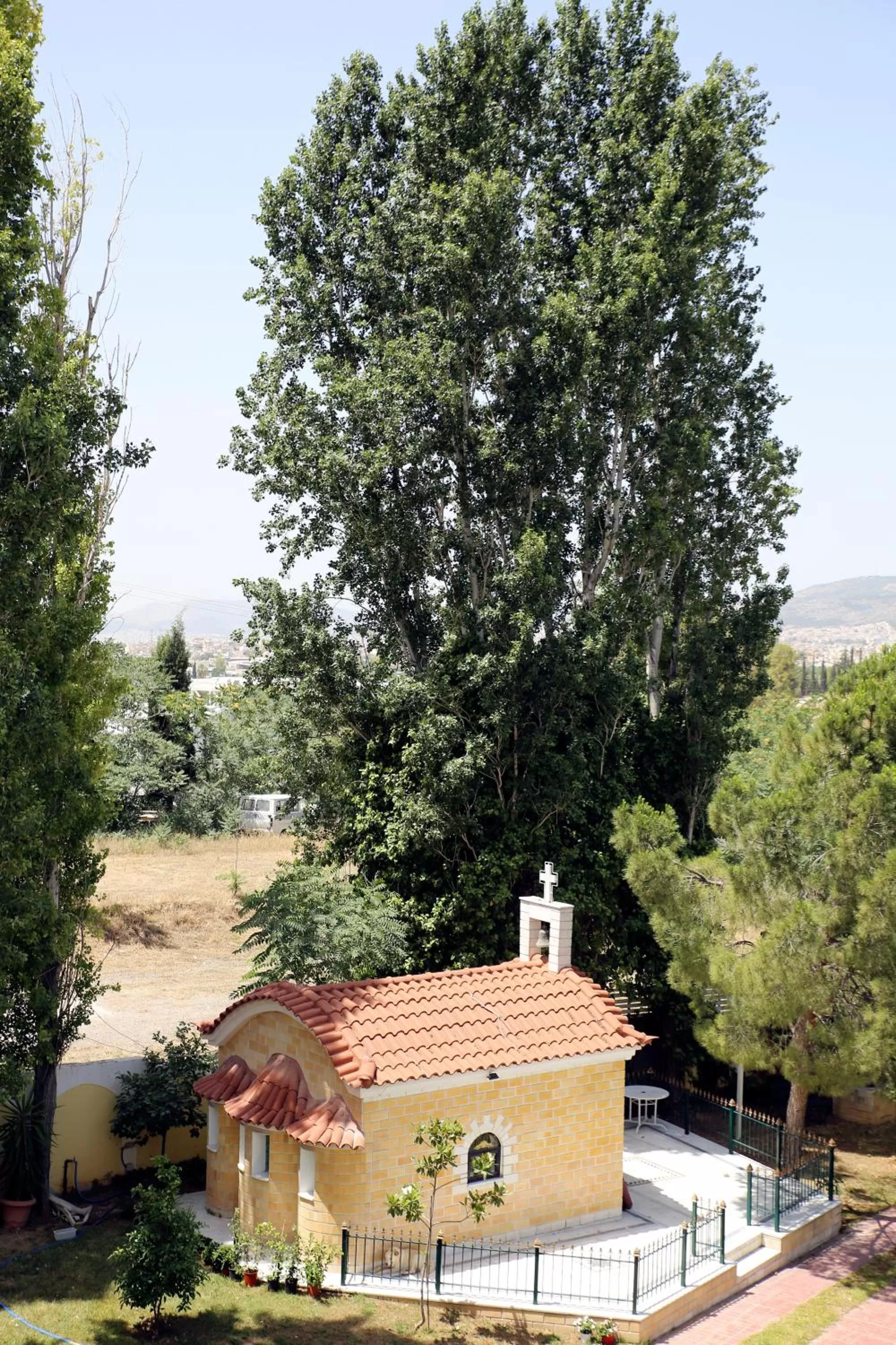 Natural landscape in Hotel Anesi