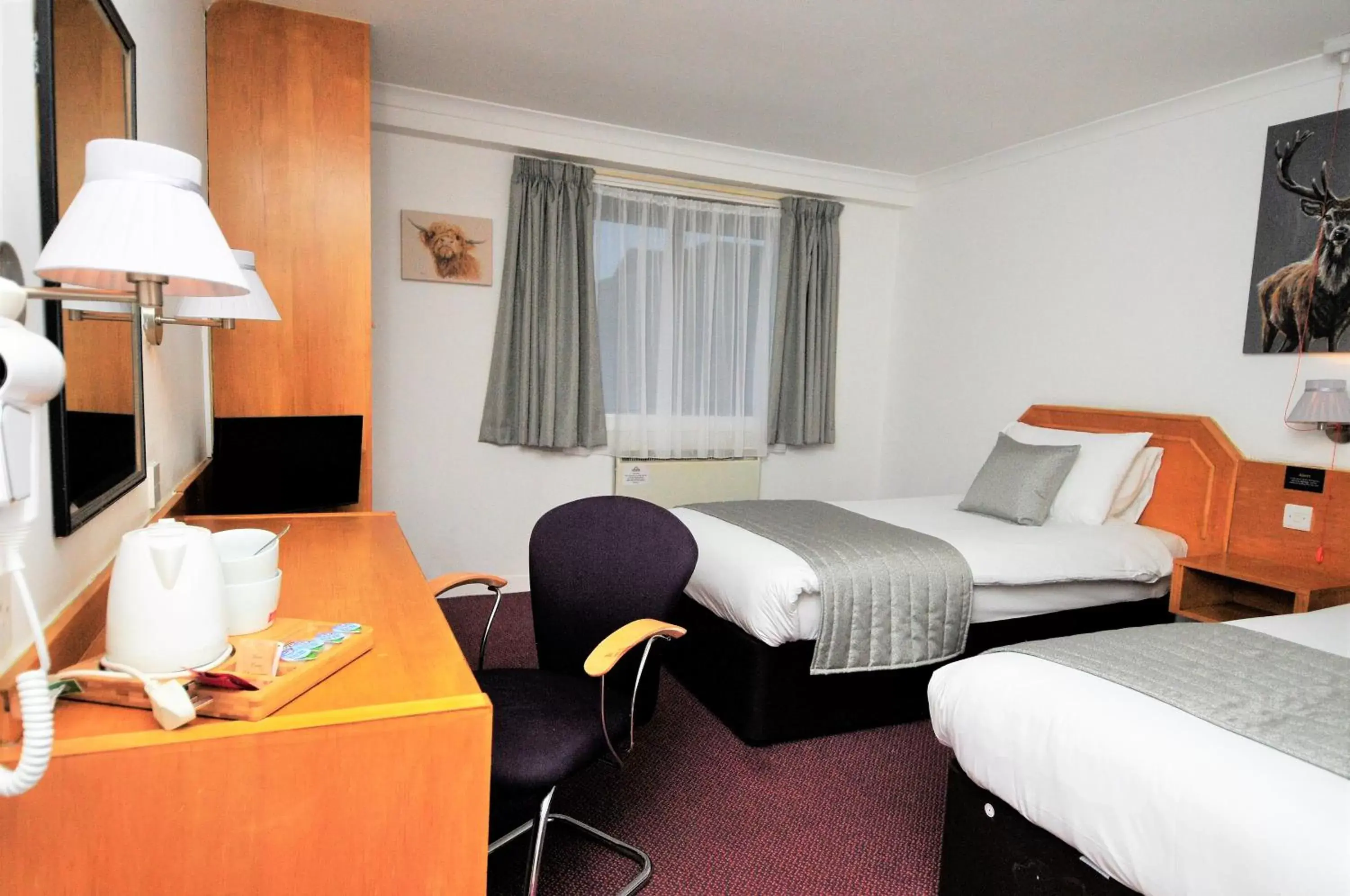 Photo of the whole room, Bed in Days Inn Hamilton
