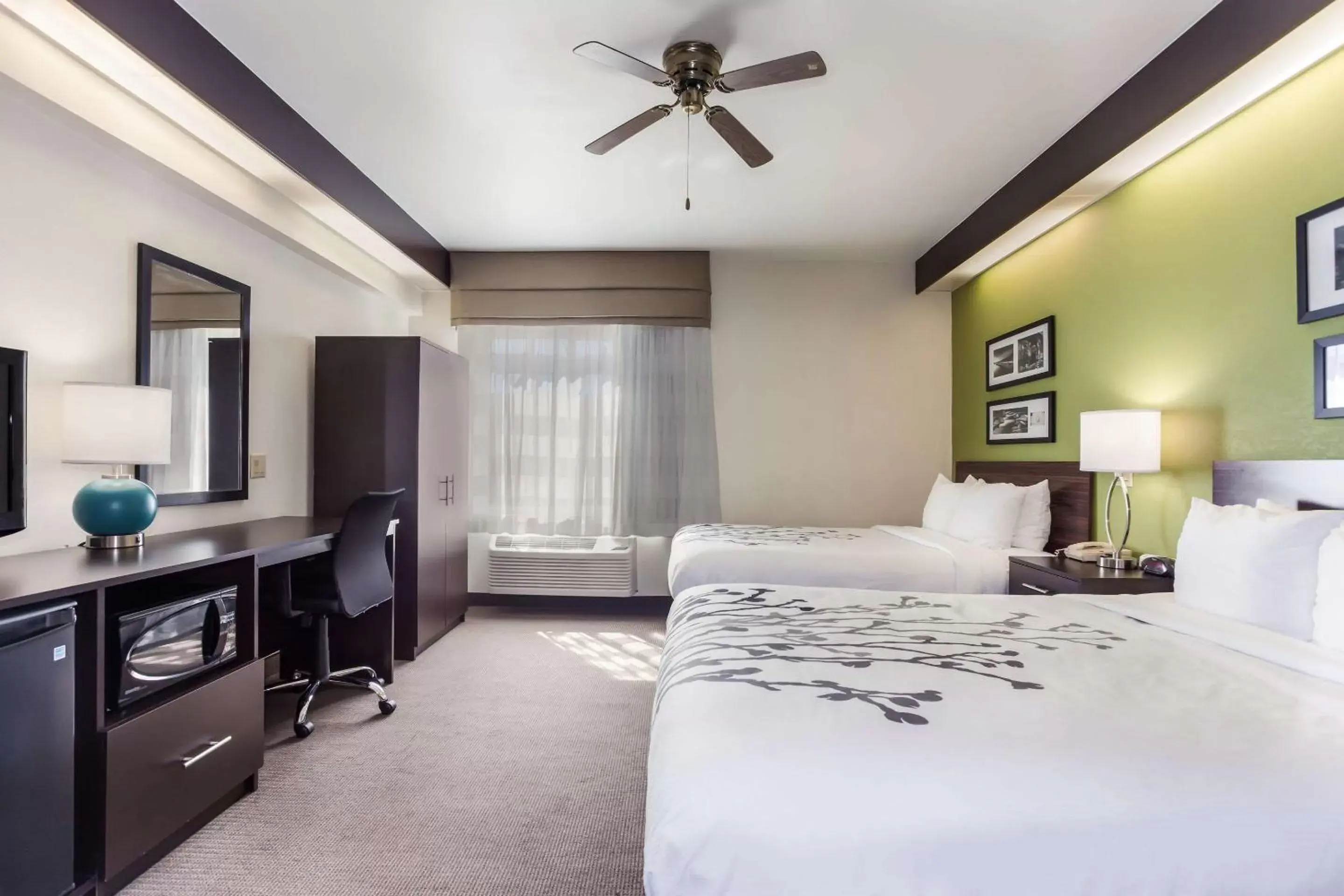 Photo of the whole room, Bed in Sleep Inn Little River - North Myrtle Beach Photo of the whole room, Bed in Sleep Inn Little River - North Myrtle Beach