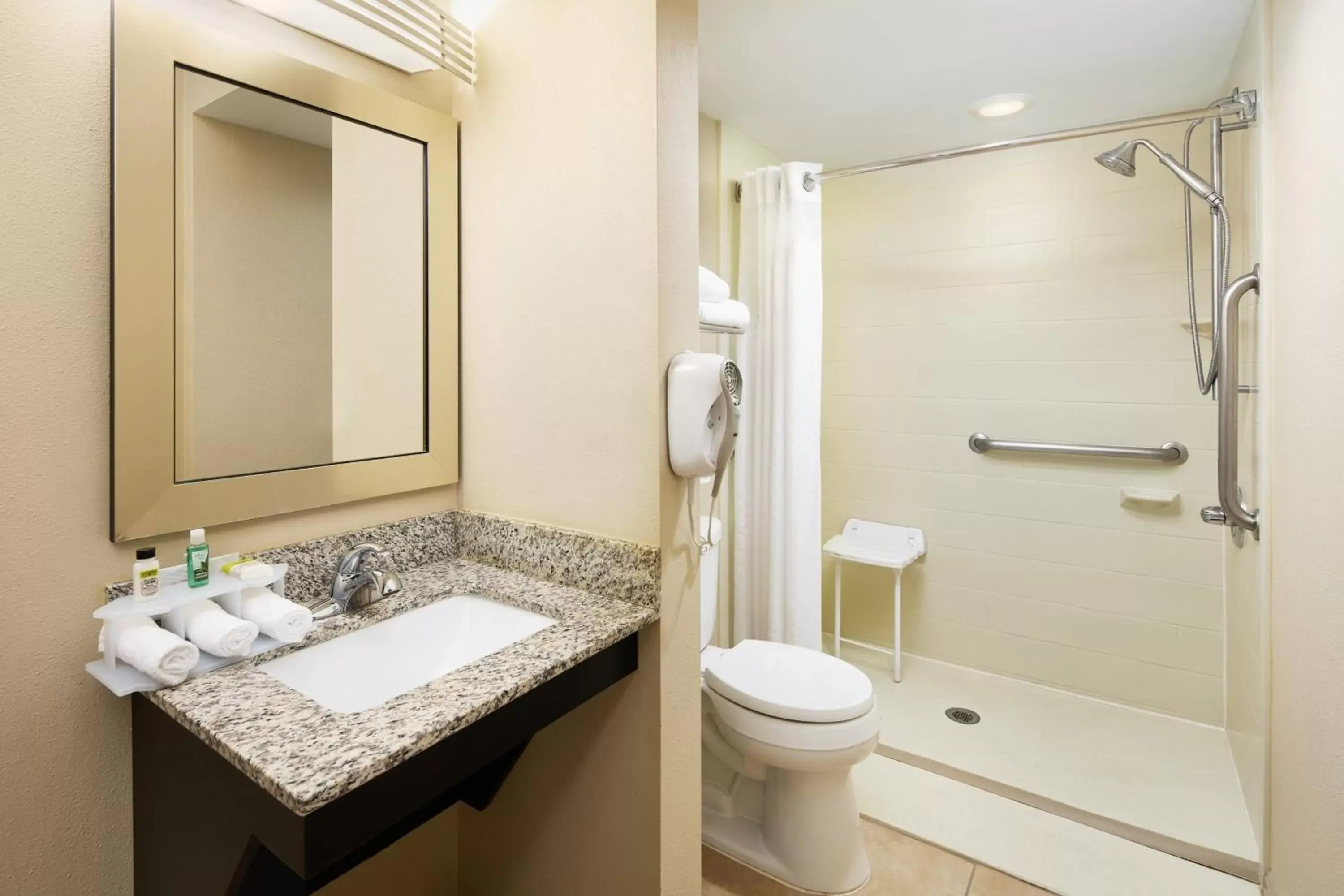 Photo of the whole room, Bathroom in Holiday Inn Express & Suites Alpharetta, an IHG Hotel