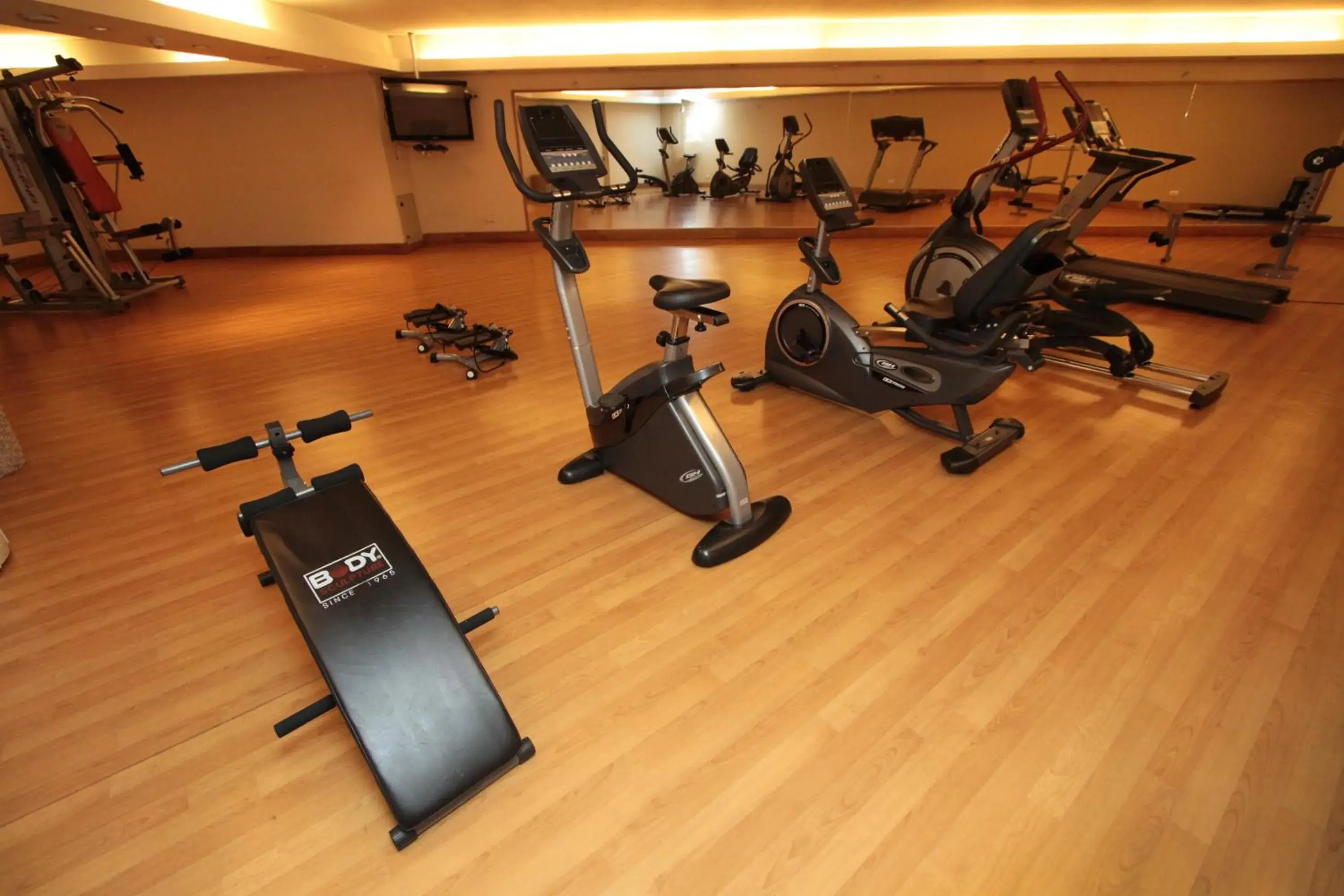 Fitness centre/facilities in Radisson Hotel Puerto Varas Fitness centre/facilities in Radisson Hotel Puerto Varas