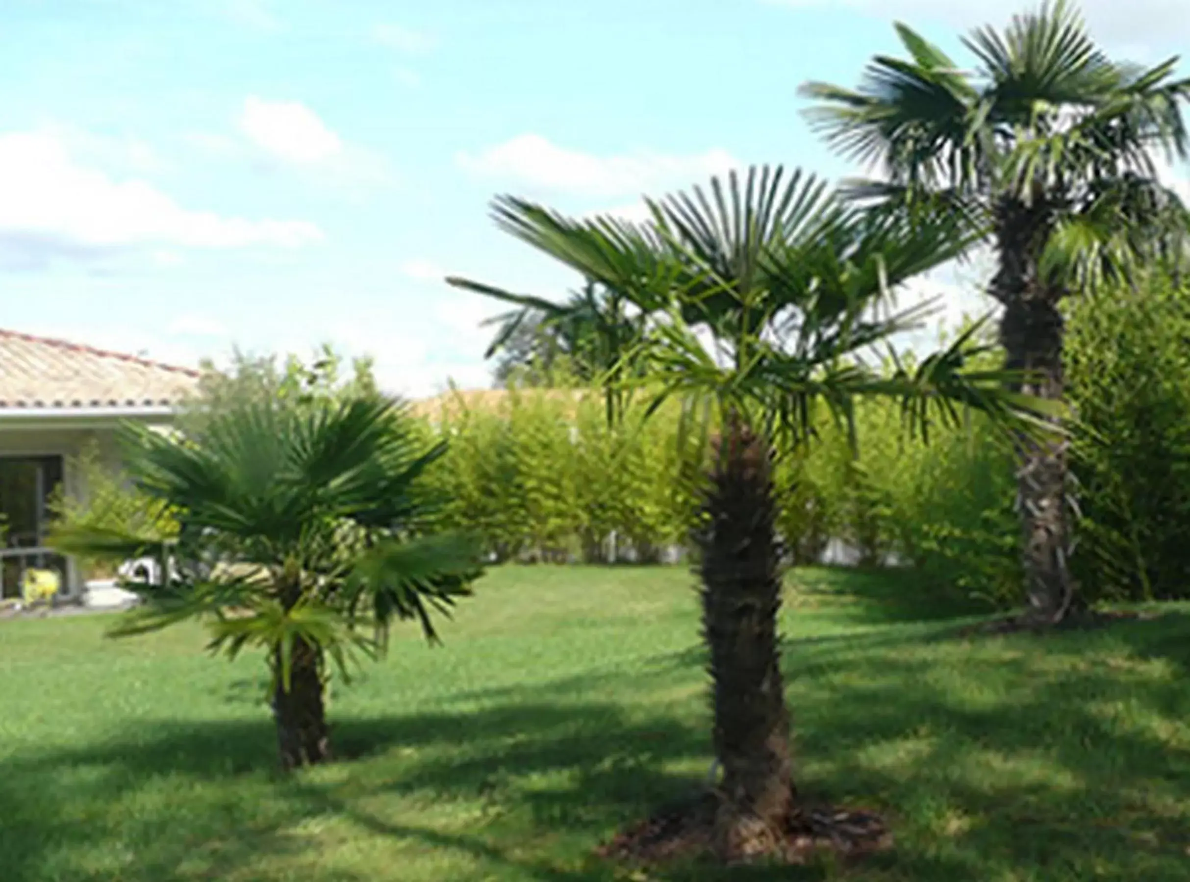 Garden in Le Temps des Hôtes