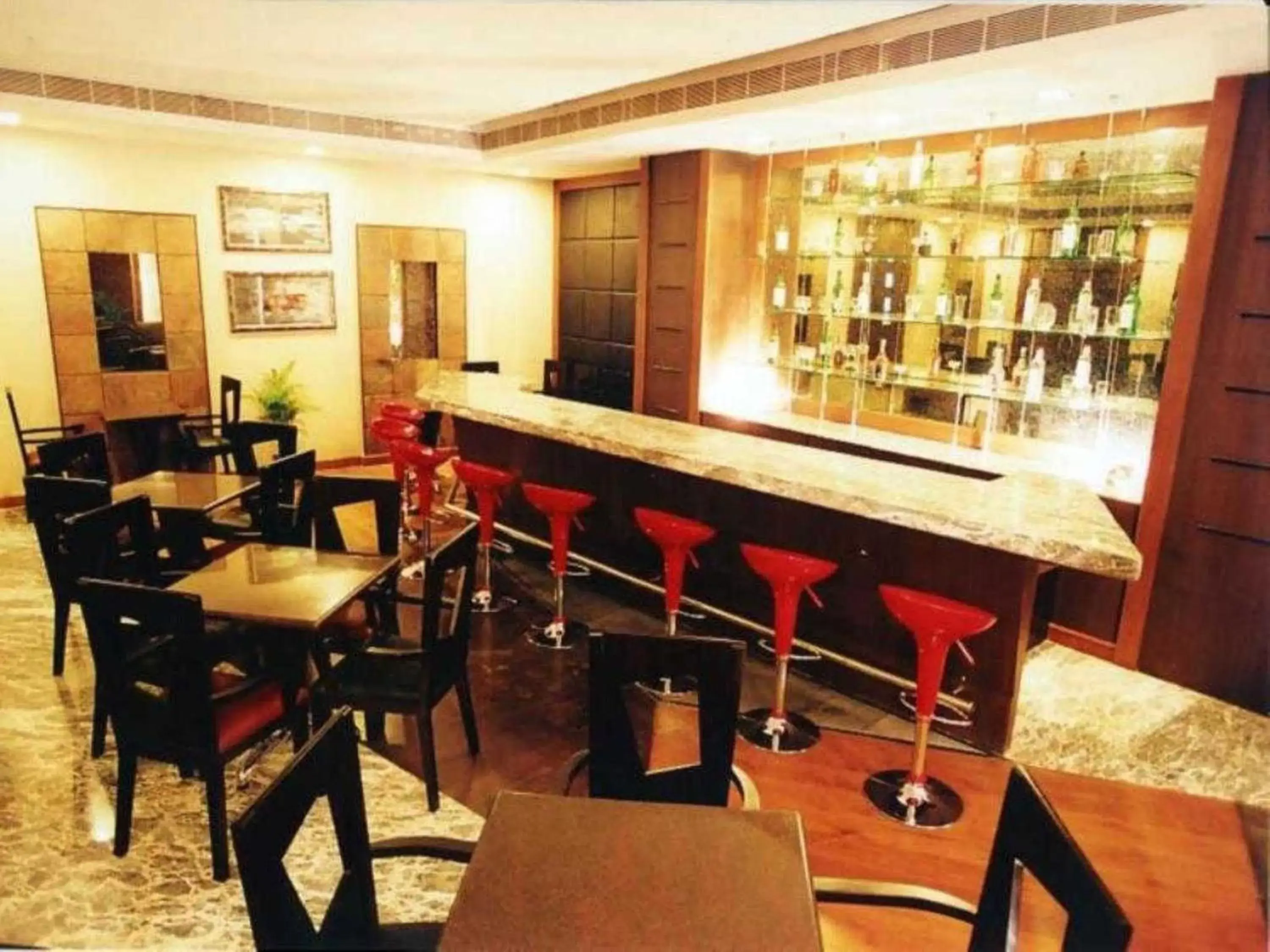 Lounge or bar in Regenta Central Deccan Chennai, Royapettah