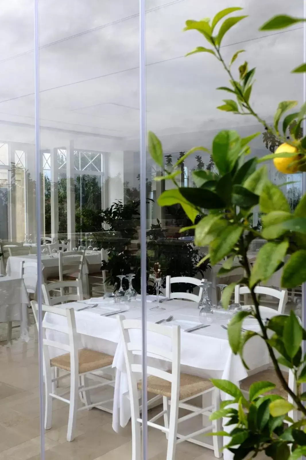 Restaurant/Places to Eat in Masseria Elysium