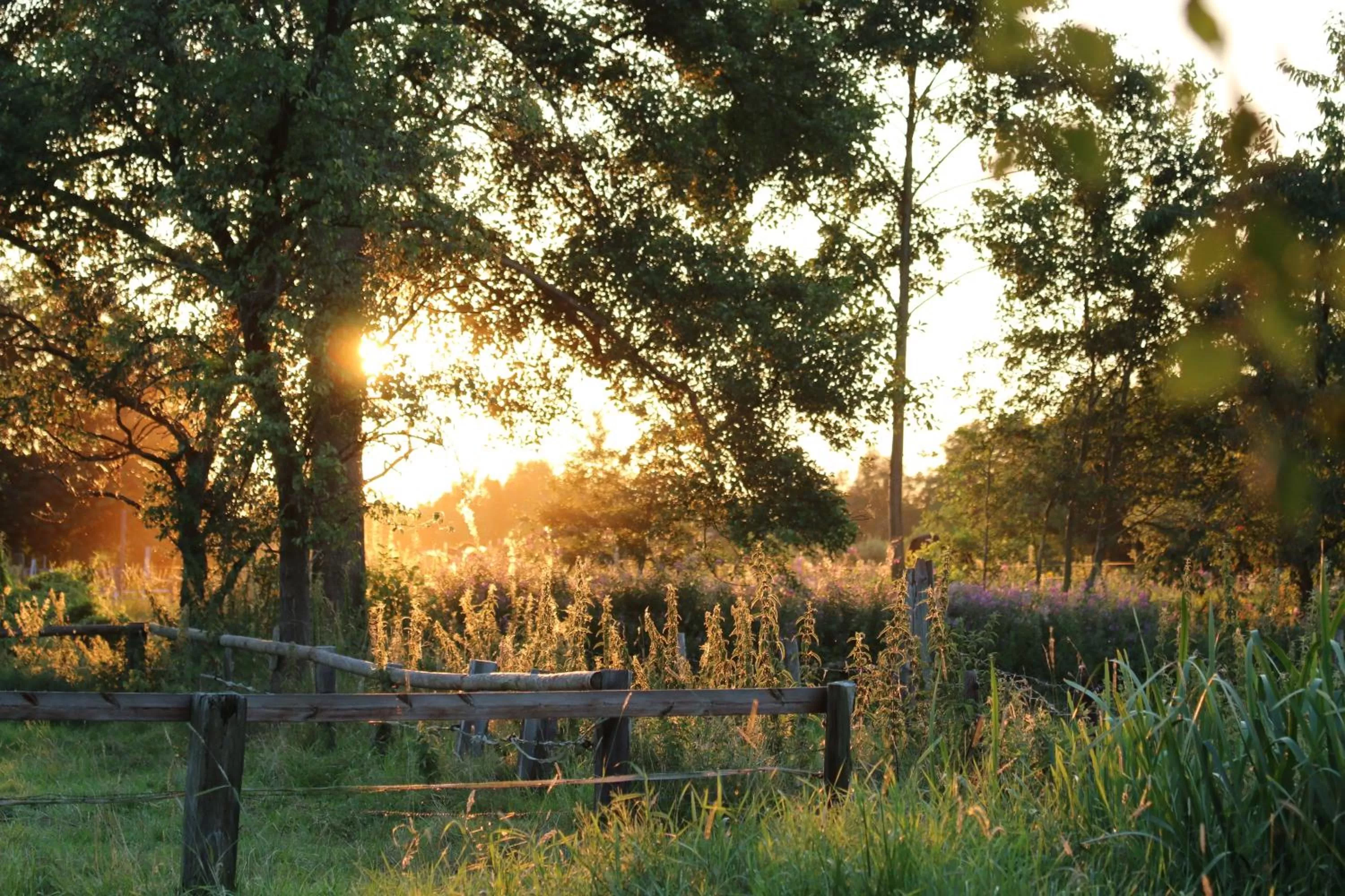 View (from property/room) in Buntes Moor