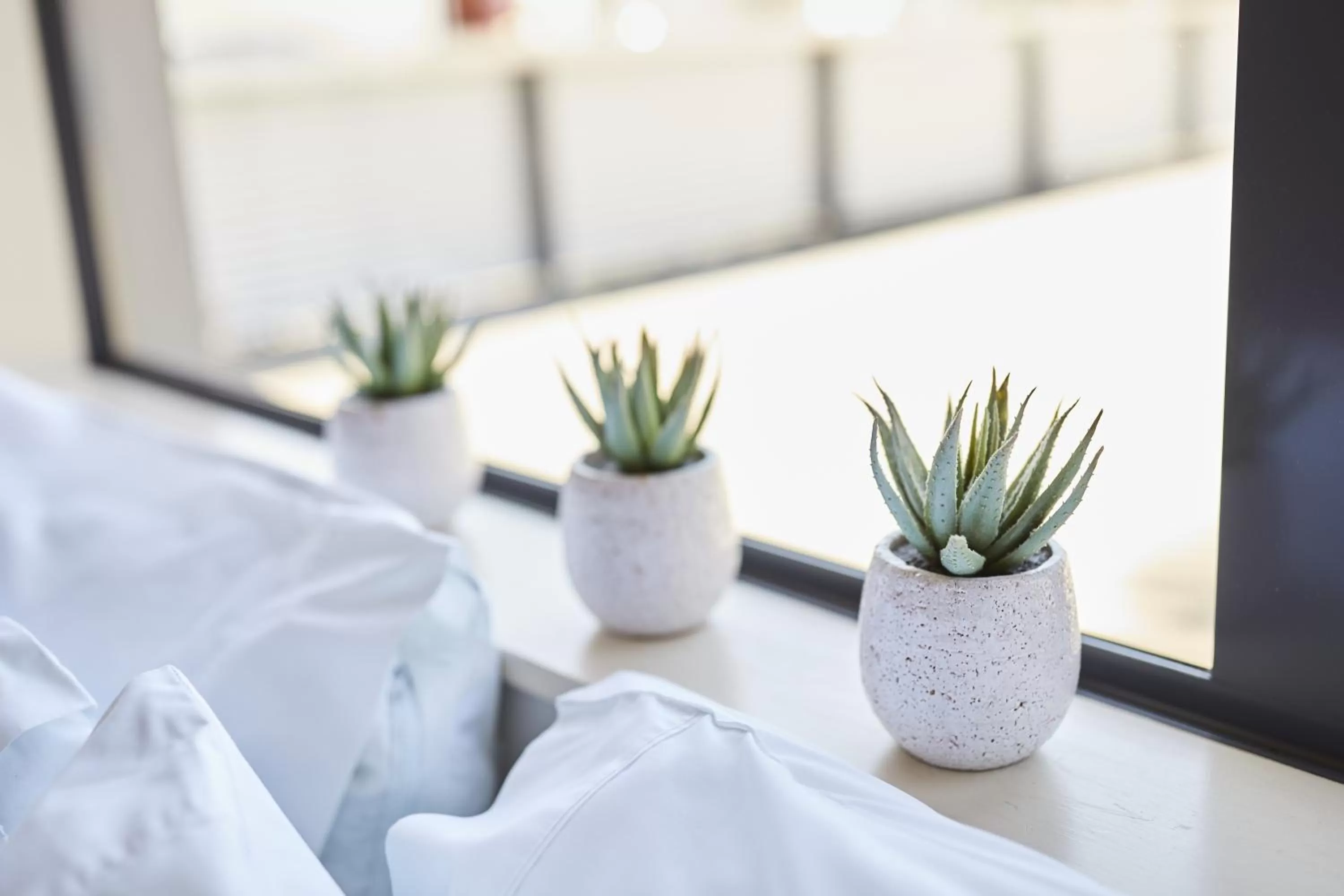 Bed in Blenheim Palms Motel