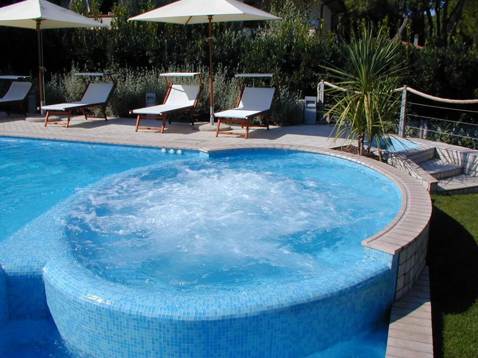 Area and facilities in Hotel Bristol