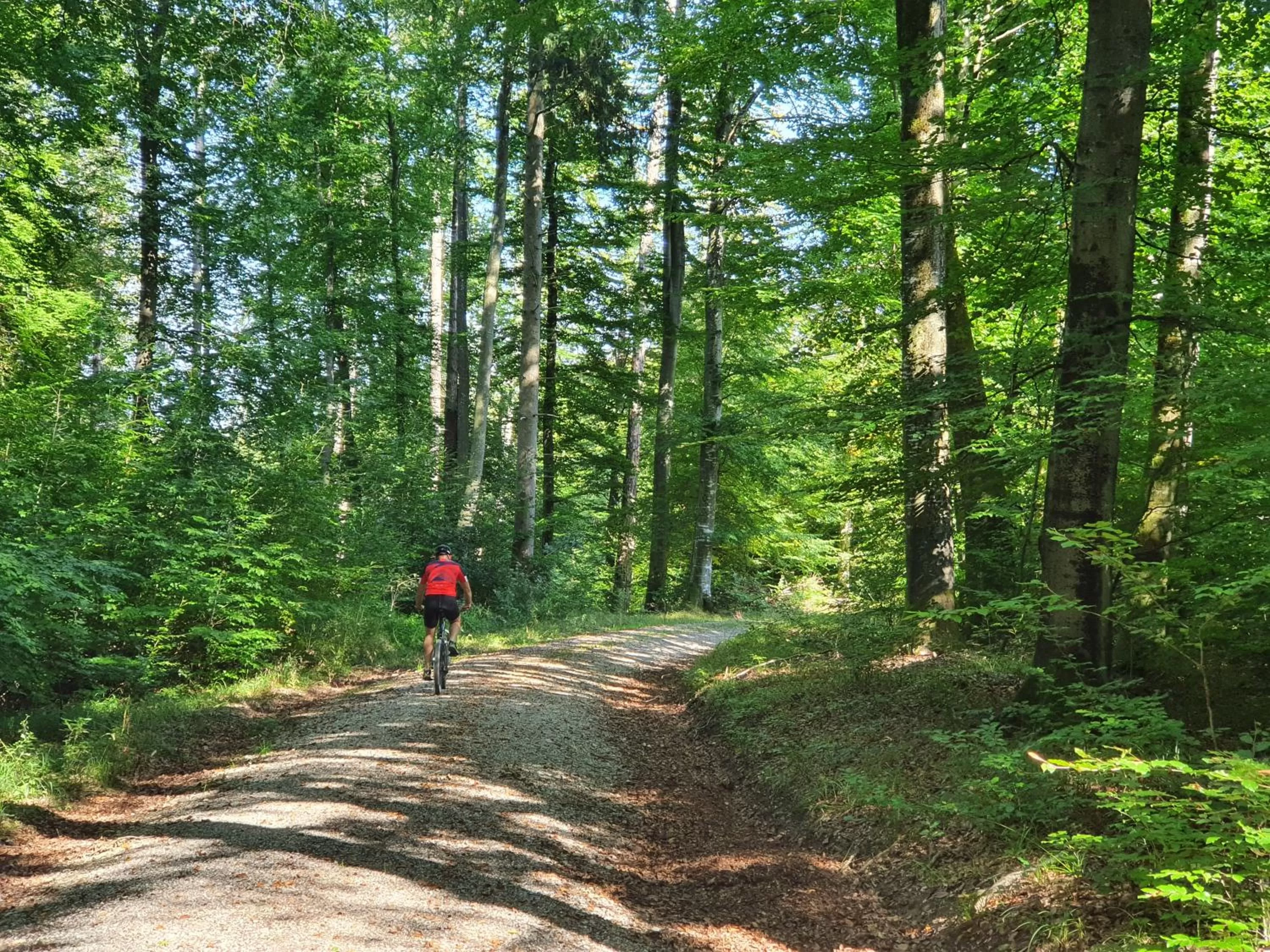 Hiking in Bett´n Glück - Übernachtung & Frühstück