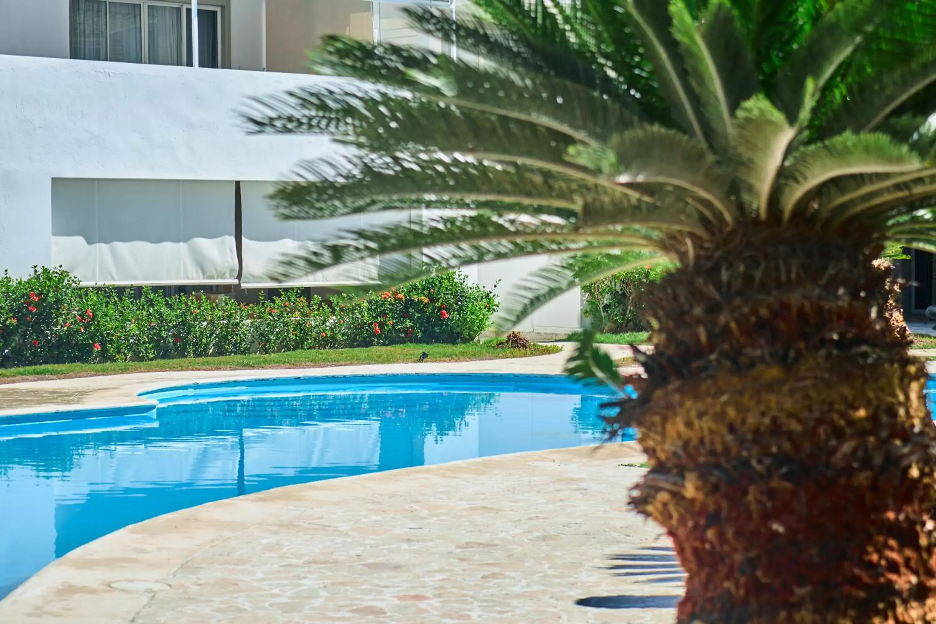 Pool view, Swimming Pool in Los Corales Beach Village