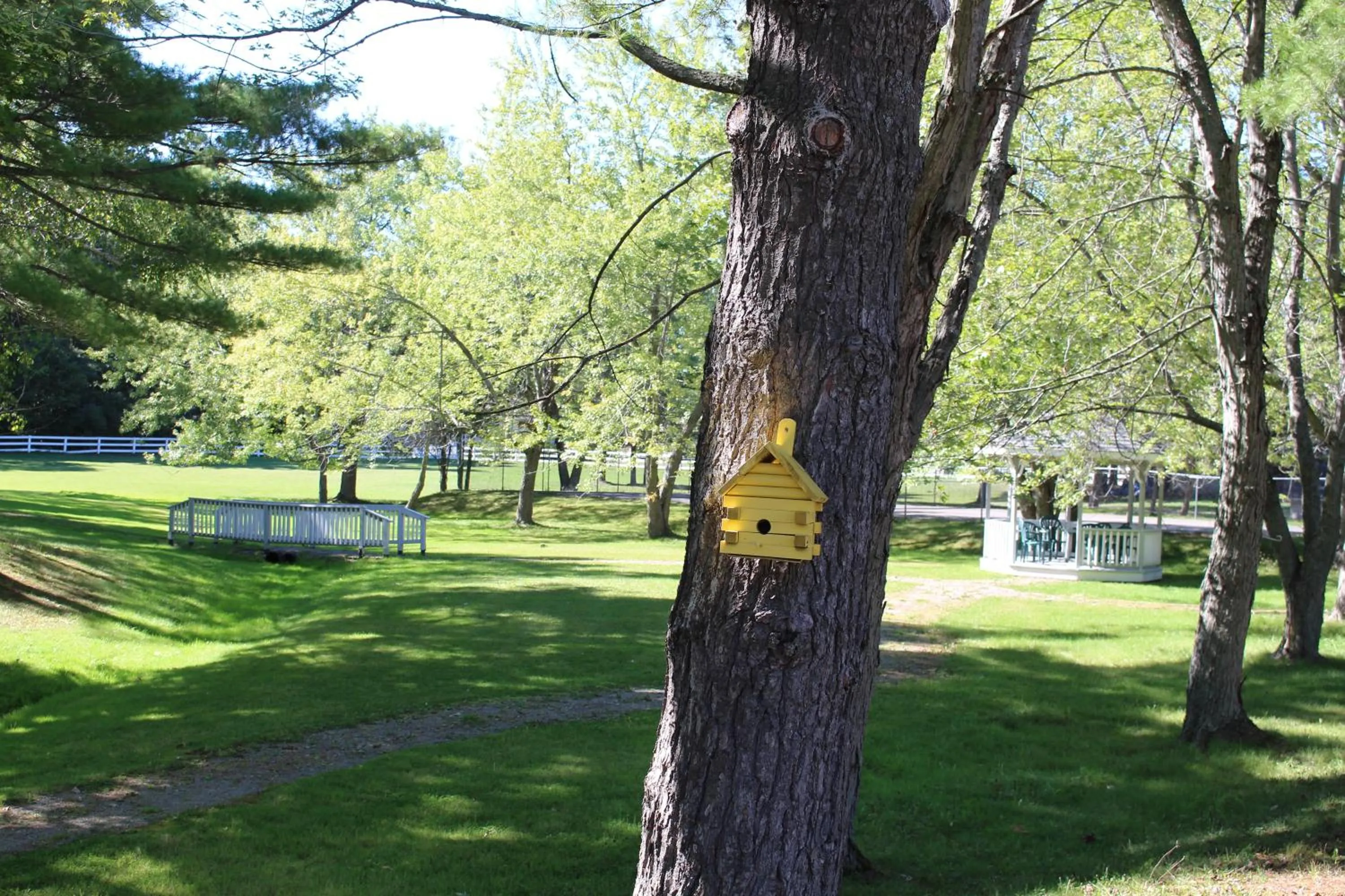 Colonial Resort-1000Islands