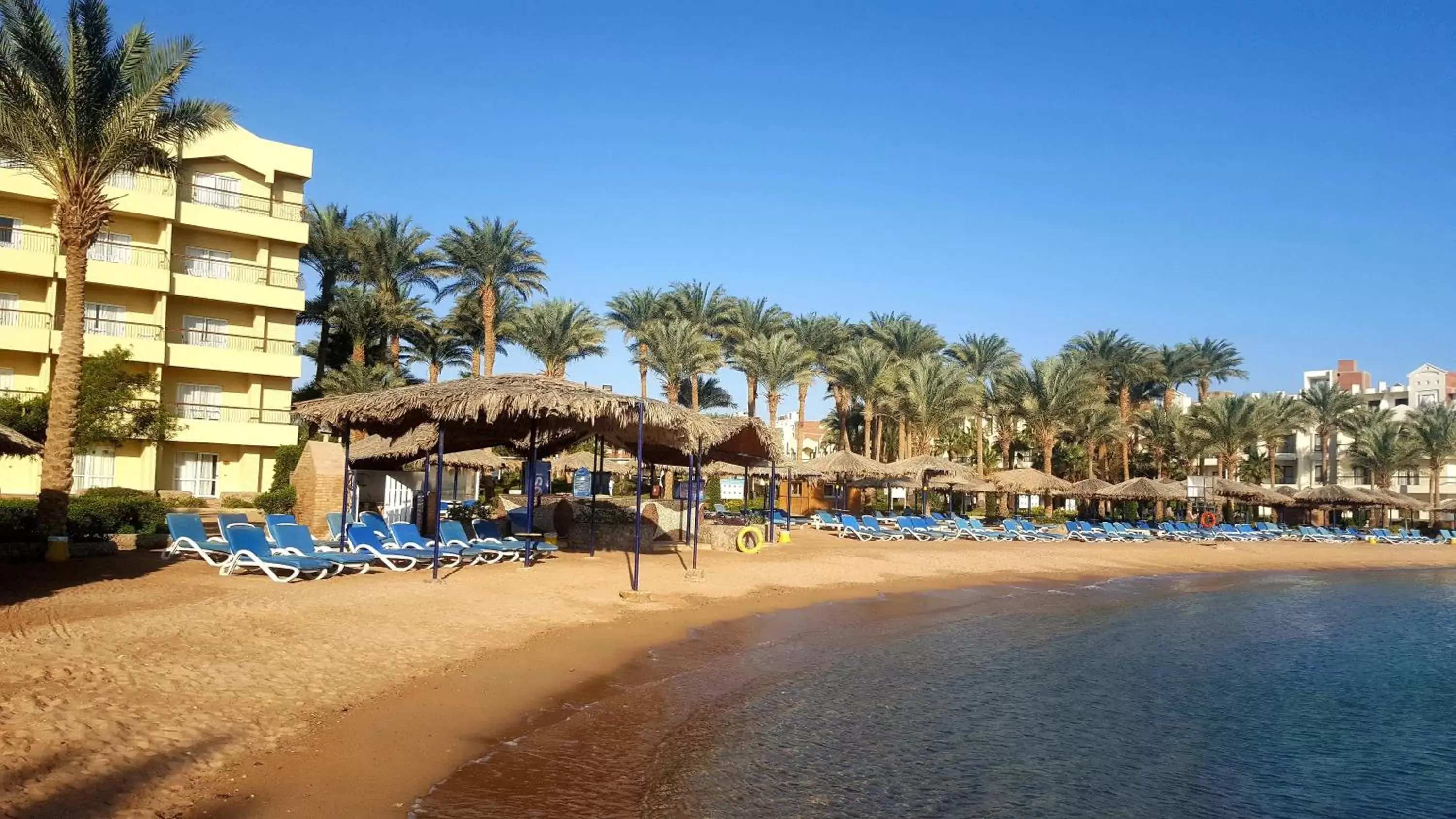 Beach in ZYA Regina Resort and Aqua Park Hurghada