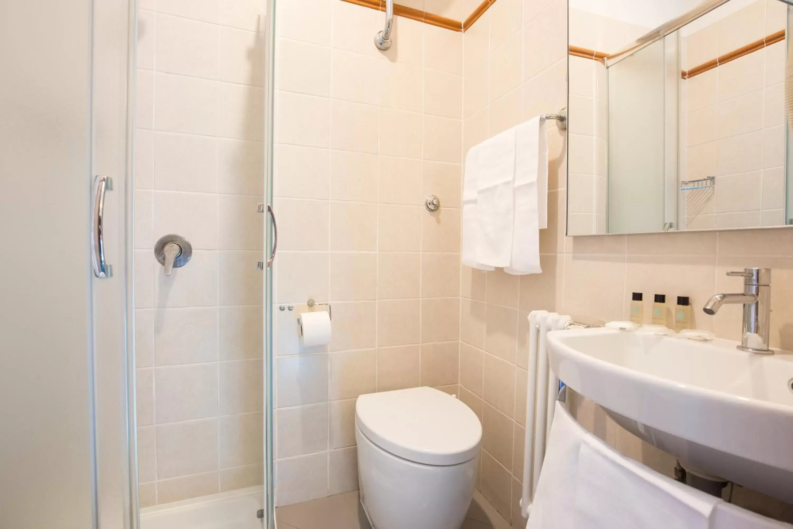 Shower, Bathroom in Hotel Trastevere