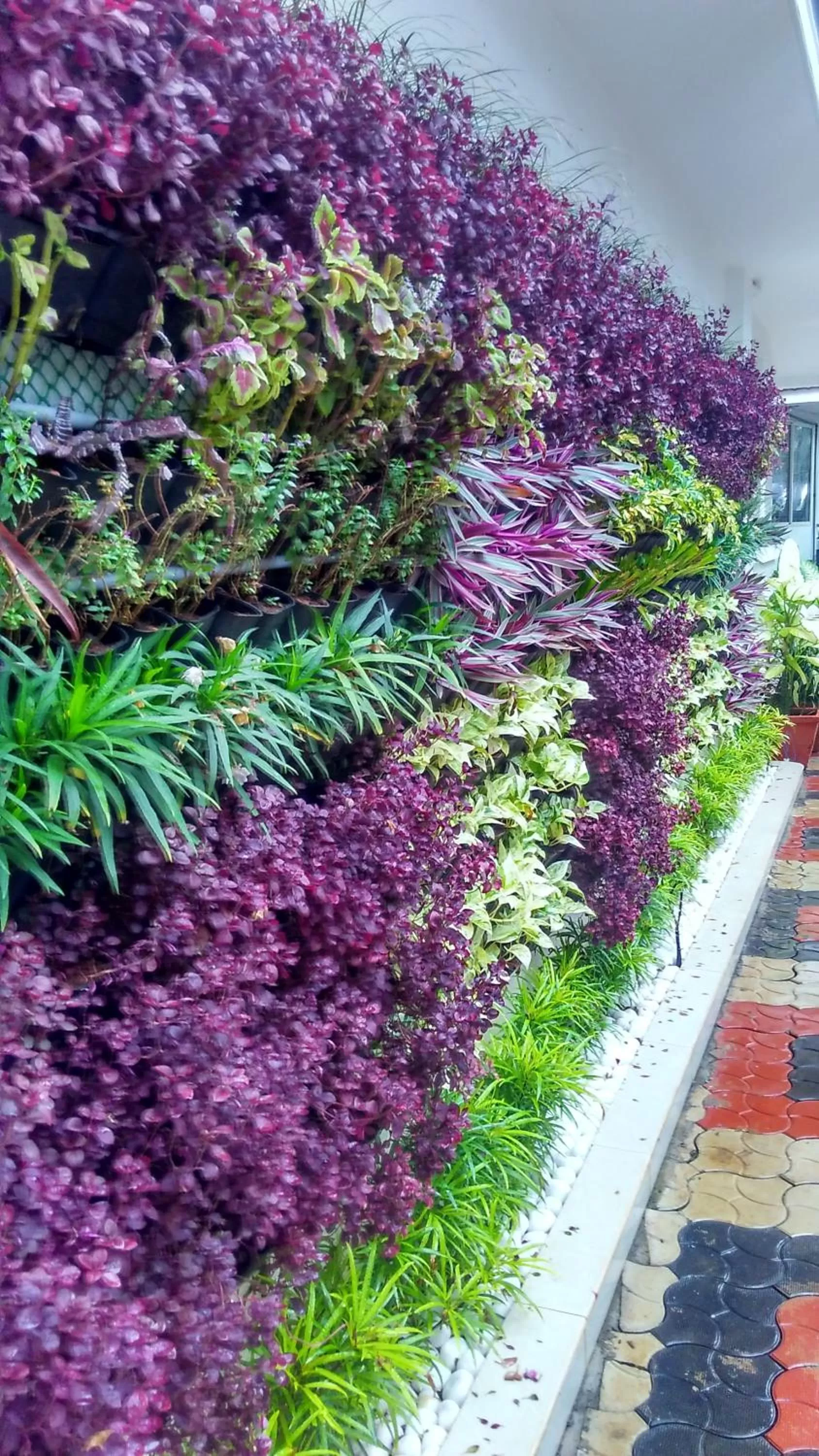 Other in B'Canti Boutique Beach Resort