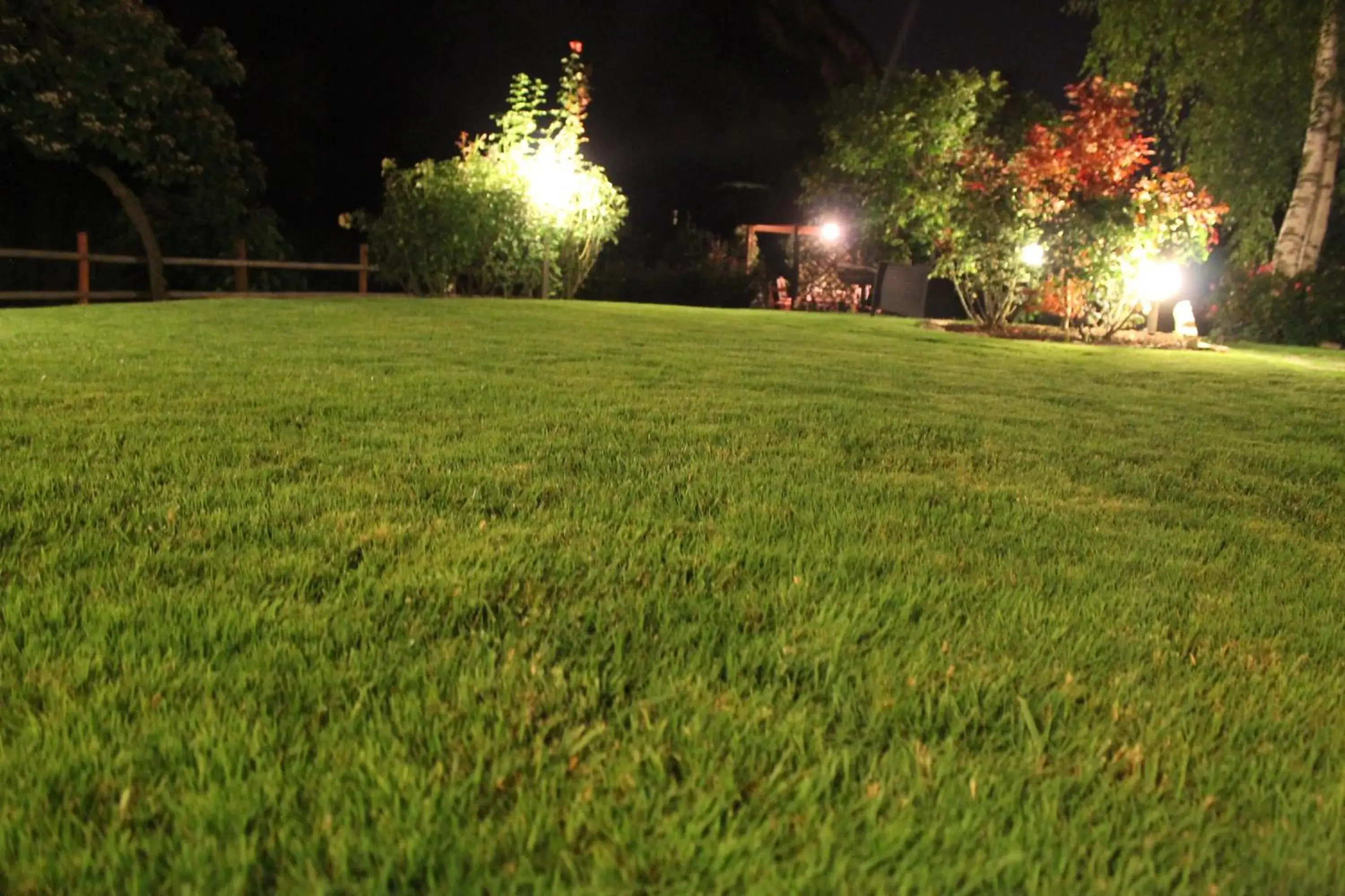 Garden in Hotel Calvi