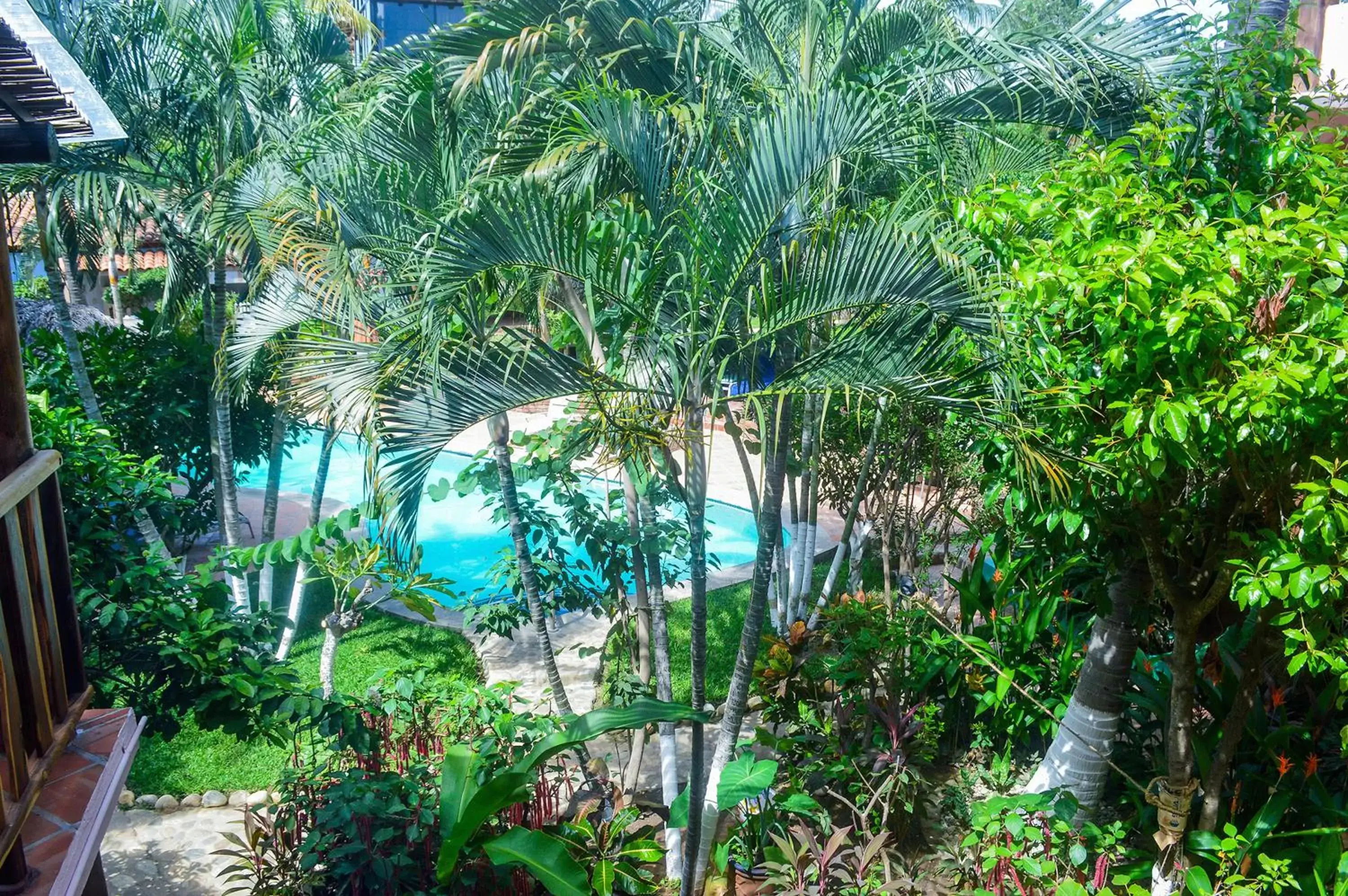 Garden view, Pool View in Hotel Casamar Suites